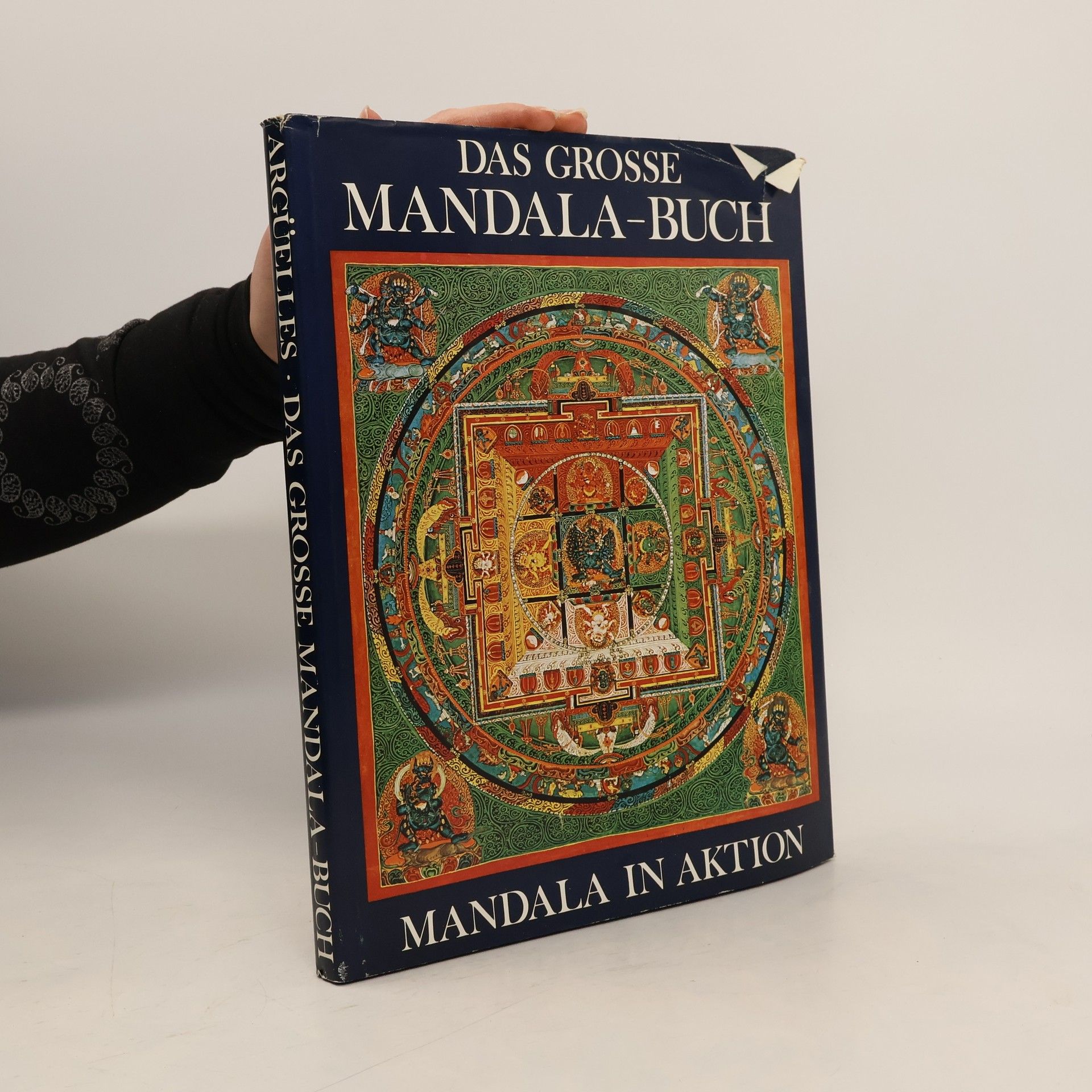 Das grosse Mandala-Buch. Mandala in Aktion. Mit einem Vorwort von Lama Tschögyam Trungpa.