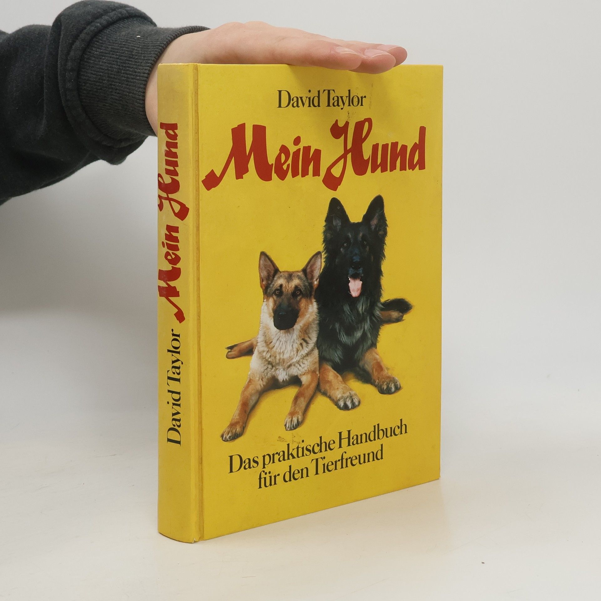 David Taylor Mein Hund