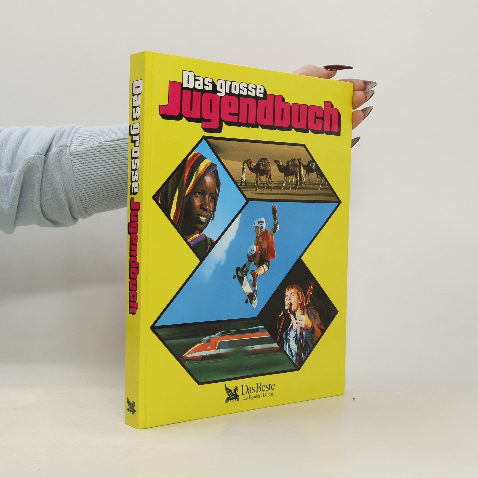 Auteurscollectief Das grosse Jugendbuch, 29.folge