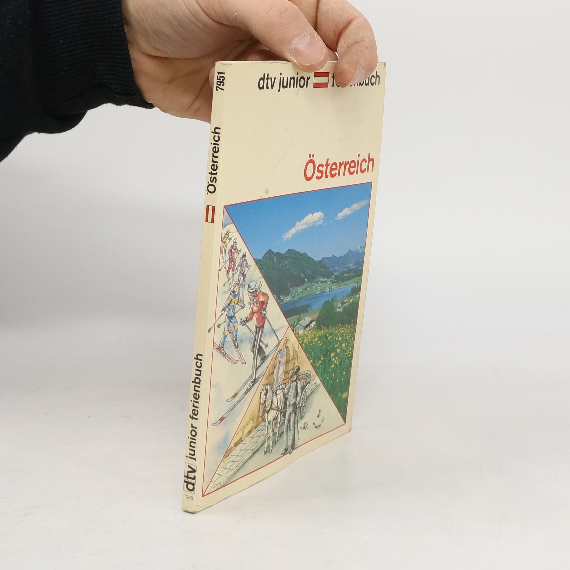 Dtv Junior Ferienbuch. Österreich