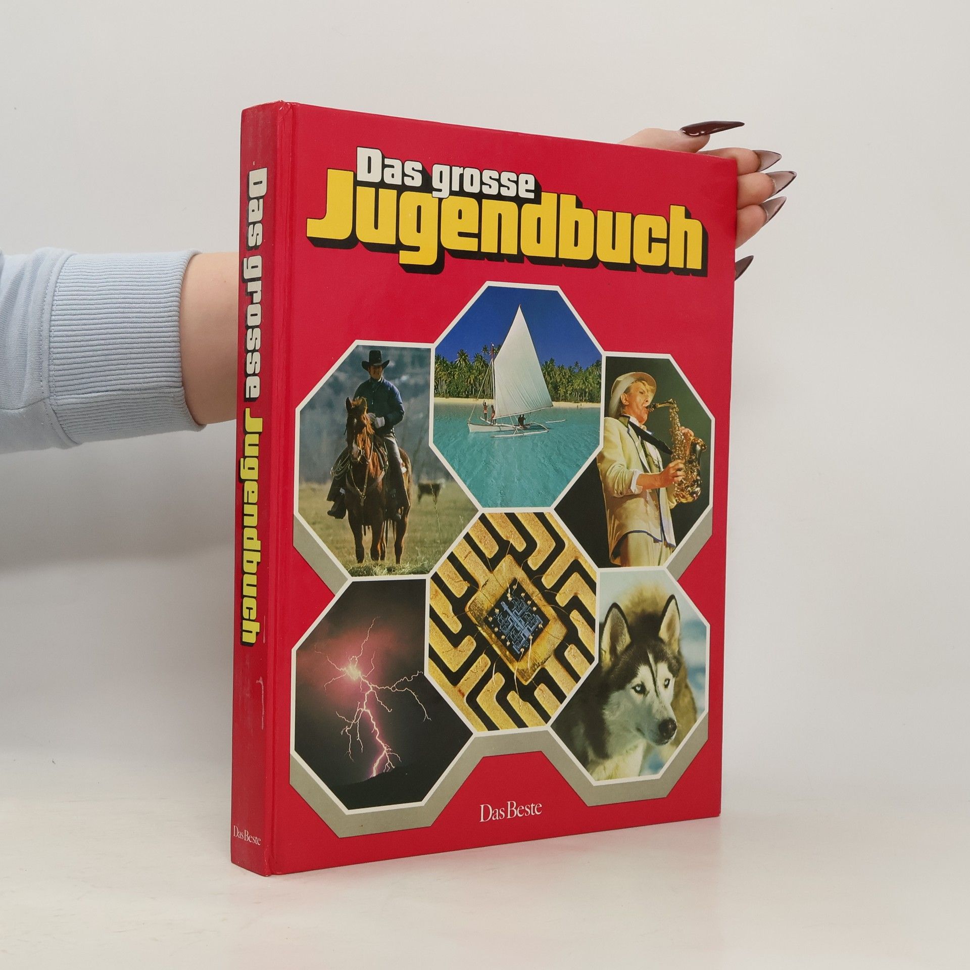 Kolektiv autorů Das große Jugendbuch