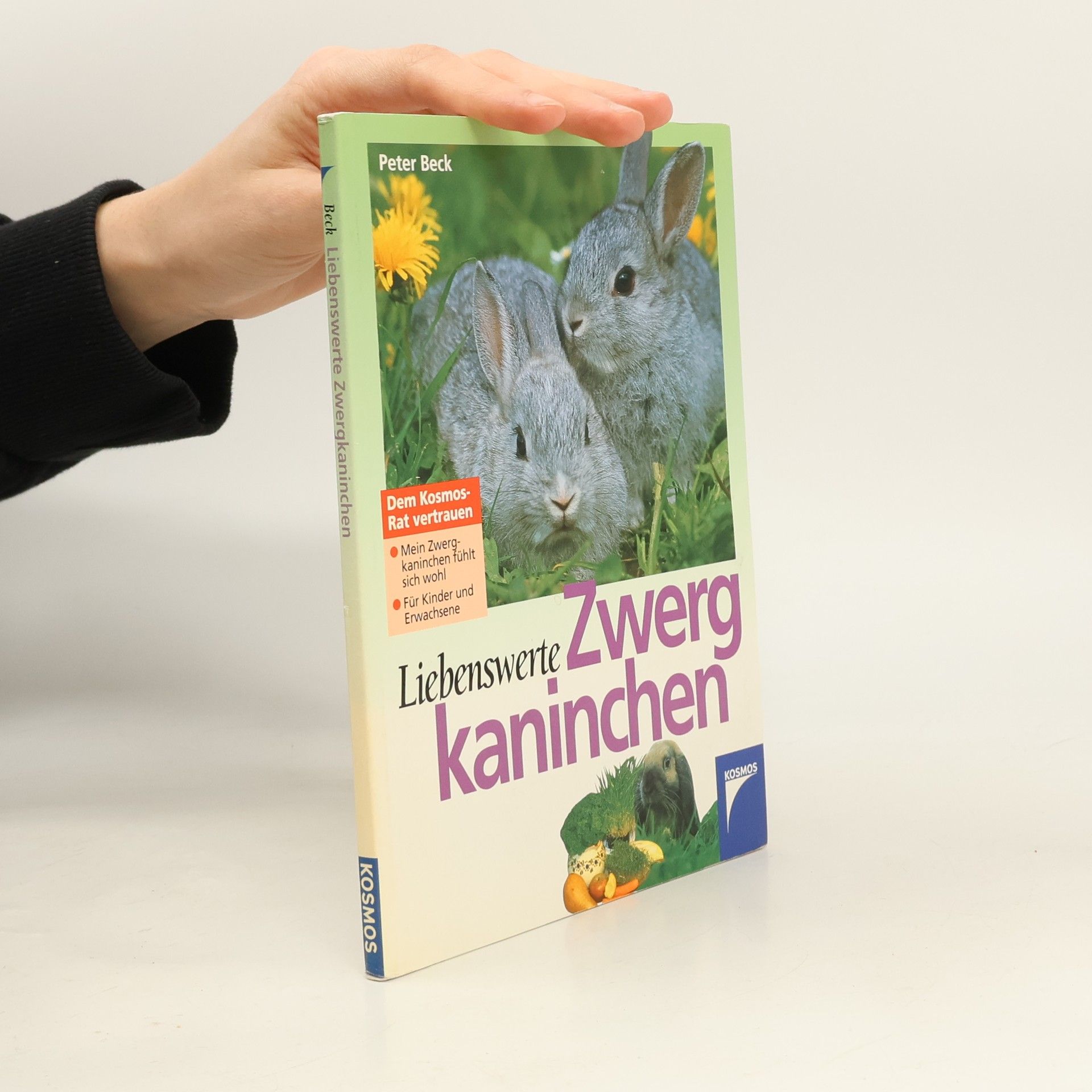 Liebenswerte Zwergkaninchen