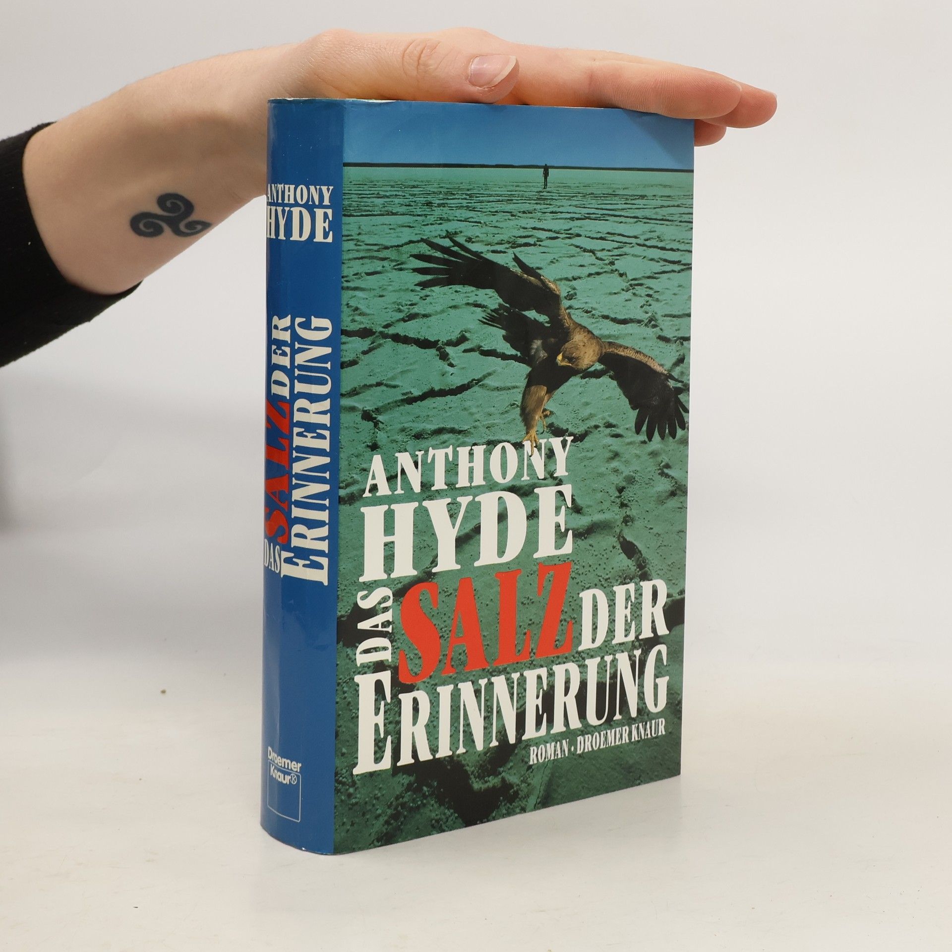 Anthony Hyde Das Salz der Erinnerung