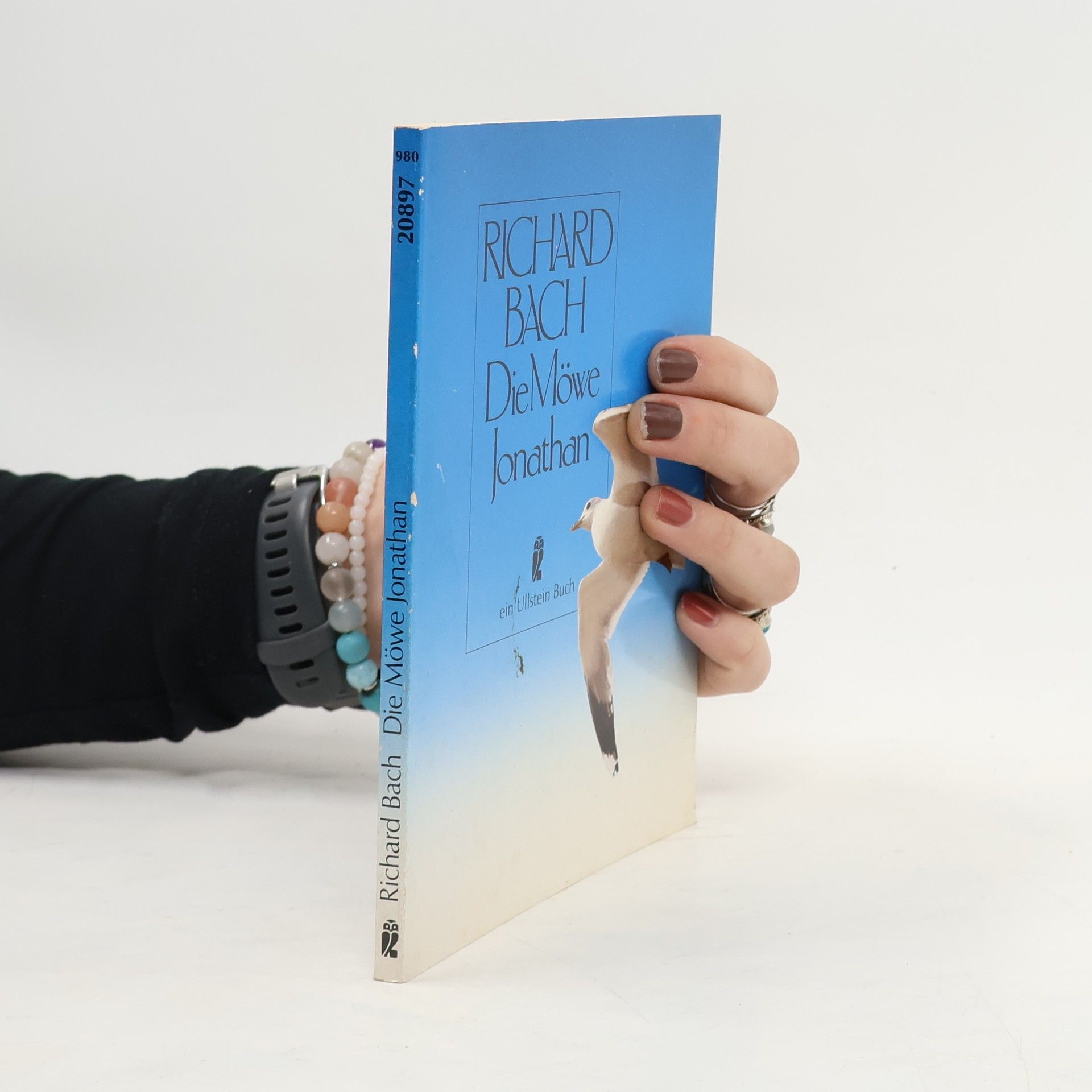 Richard Bach Die Möwe Jonathan