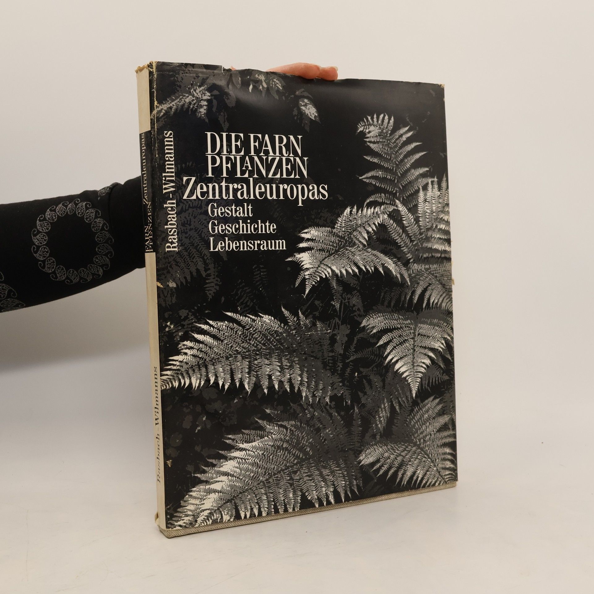 Die Farnpflanzen Zentraleuropas