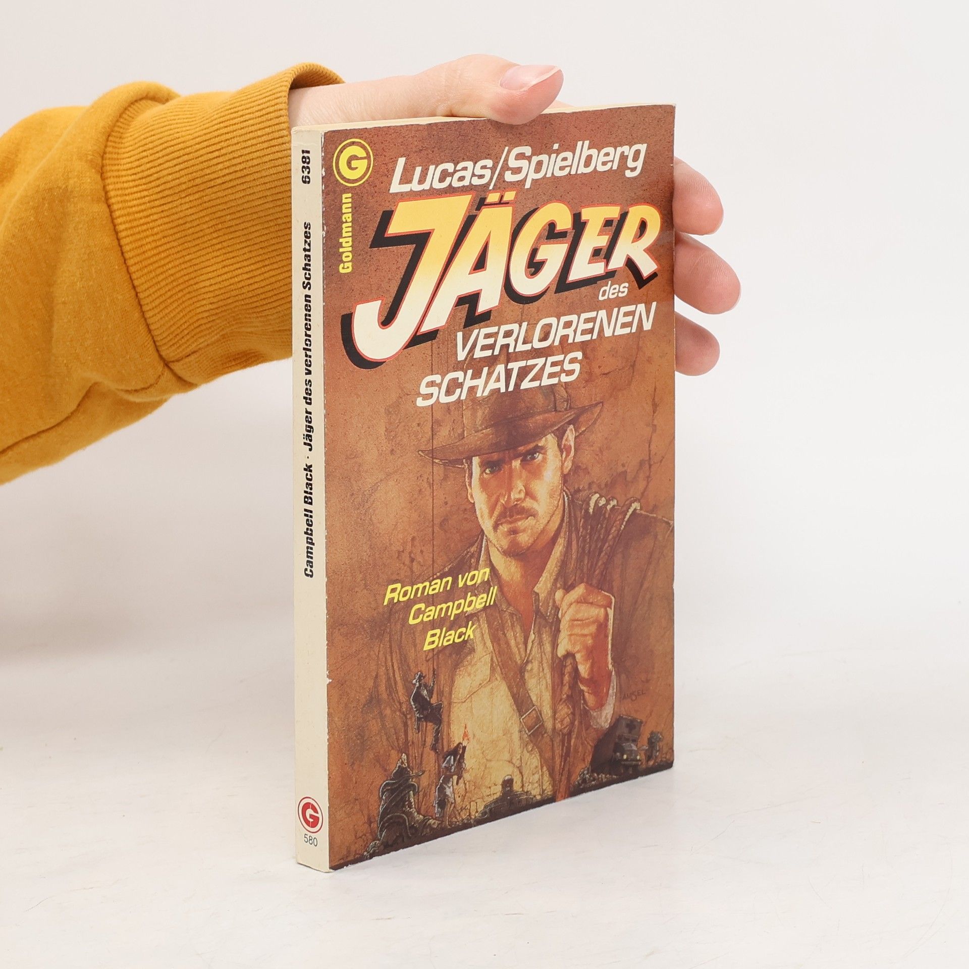 Jäger des verlorenen Schatzes