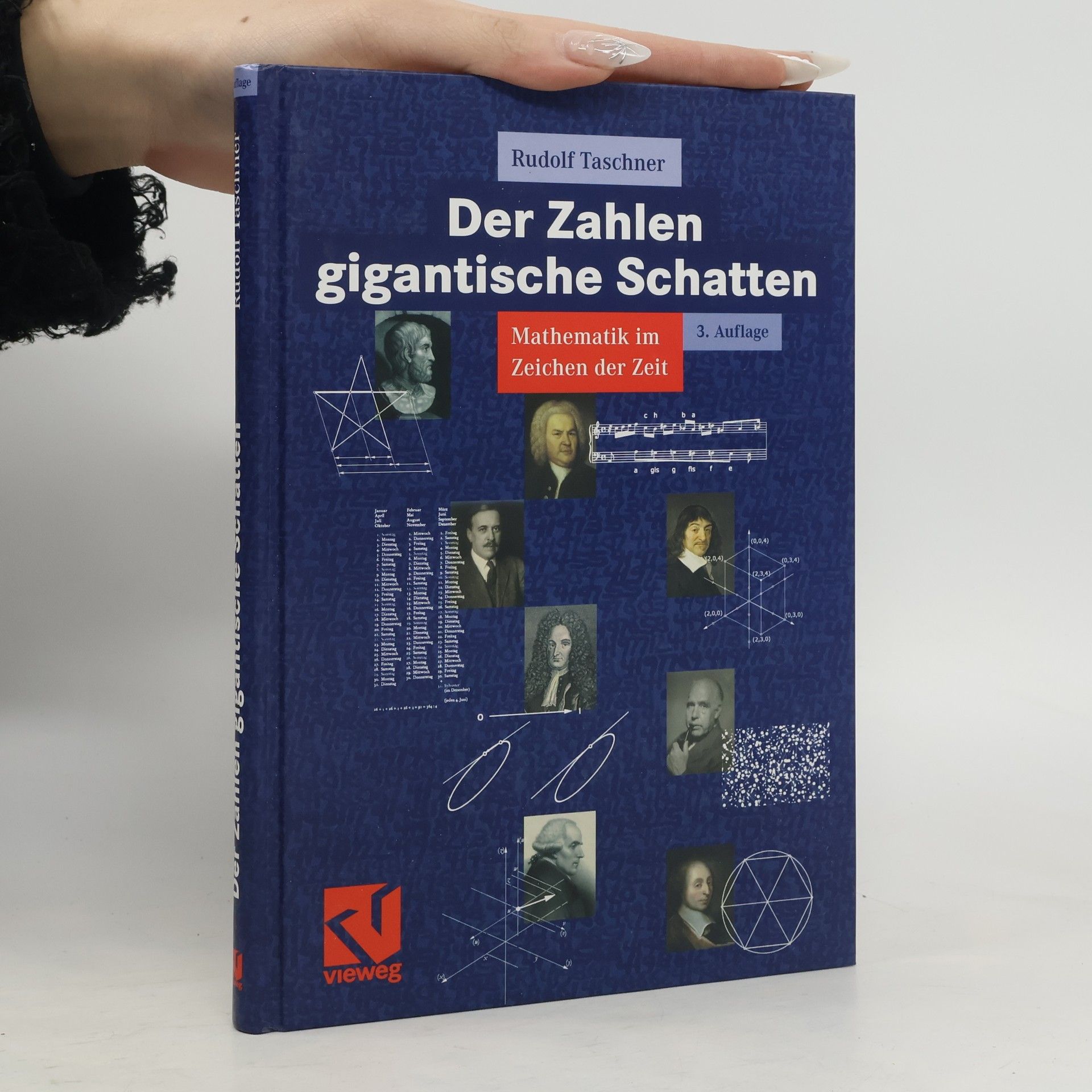 Rudolf Taschner Der Zahlen gigantische Schatten