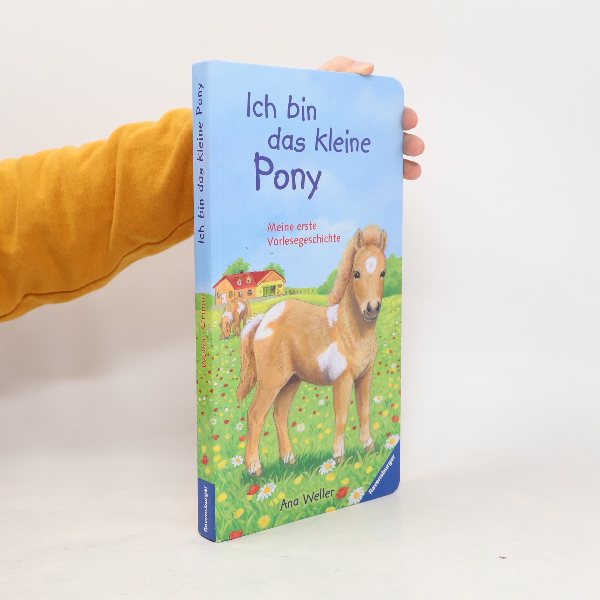 Ana Weller Ich bin das kleine Pony