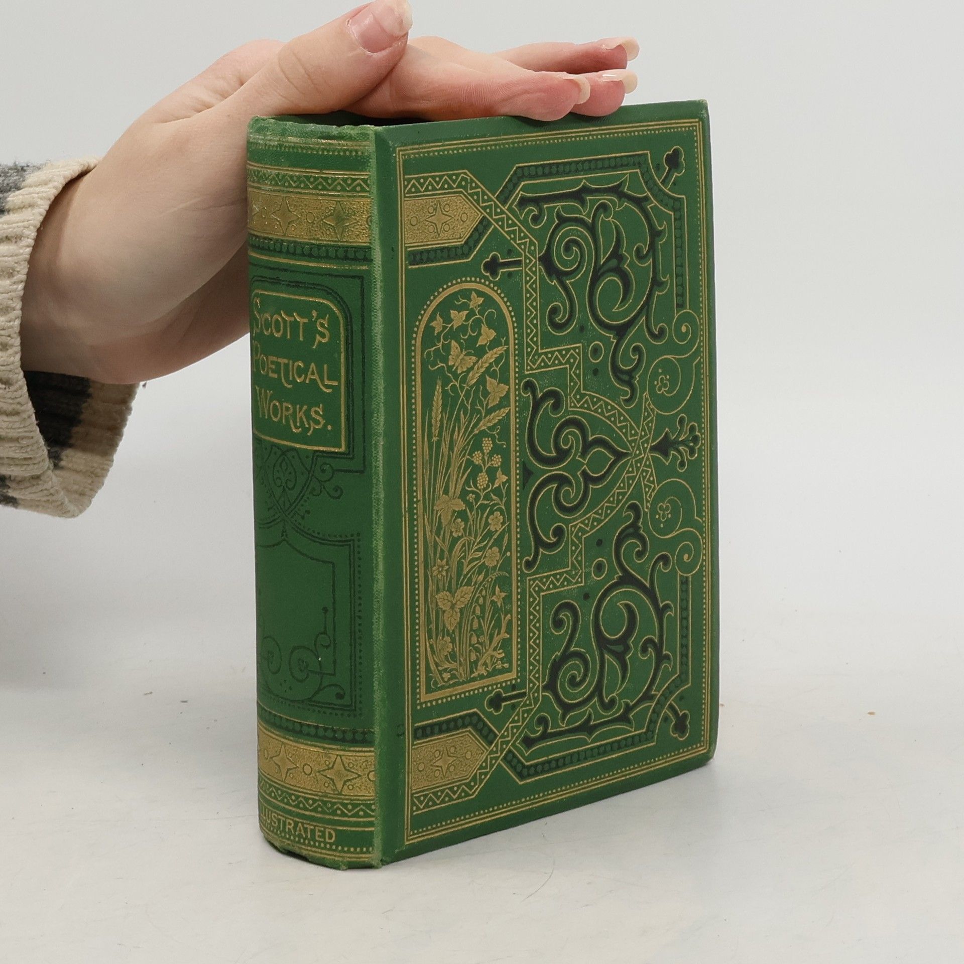 Walter Scott The Poetical Works