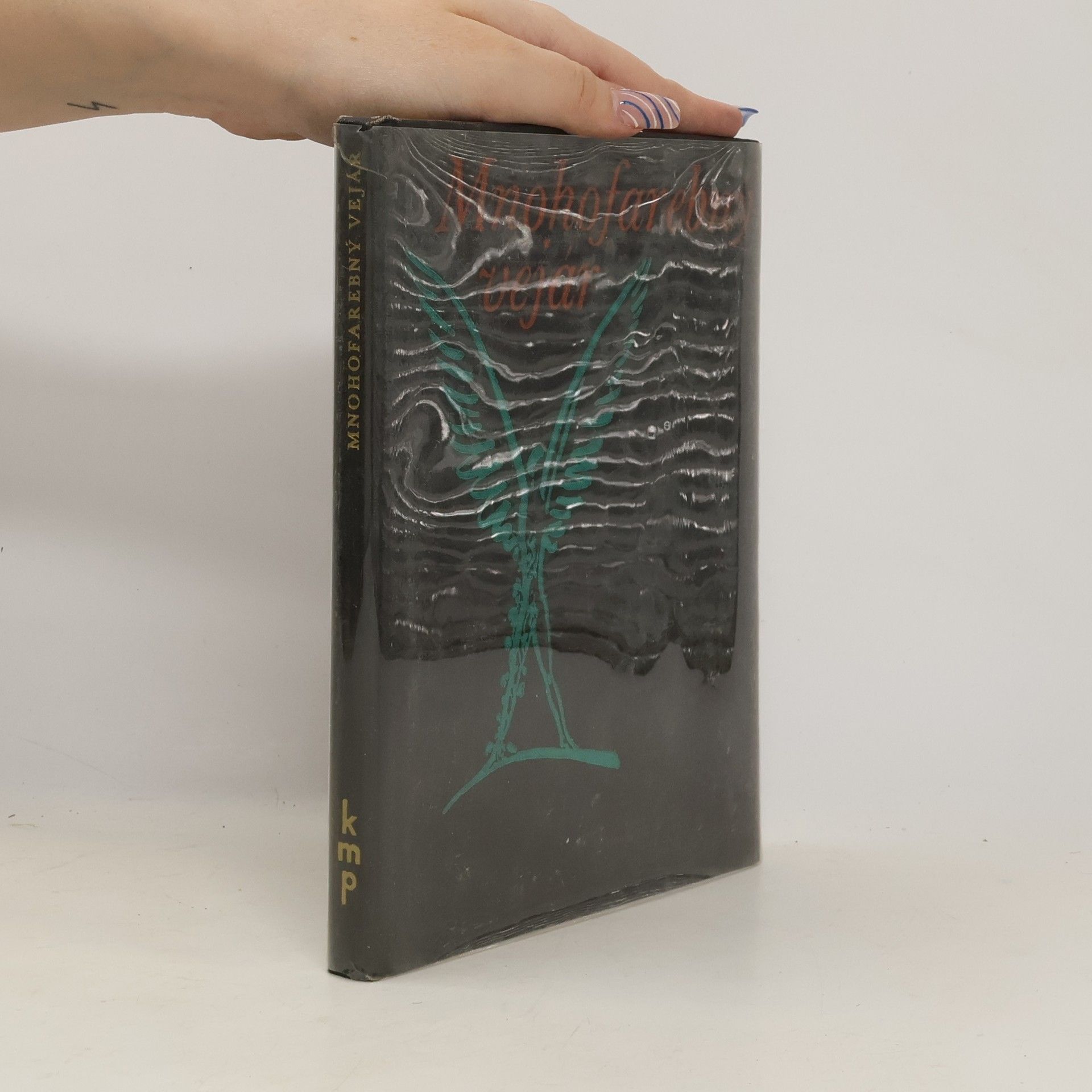 Vladimír Reisel Mnohofarebný vejár