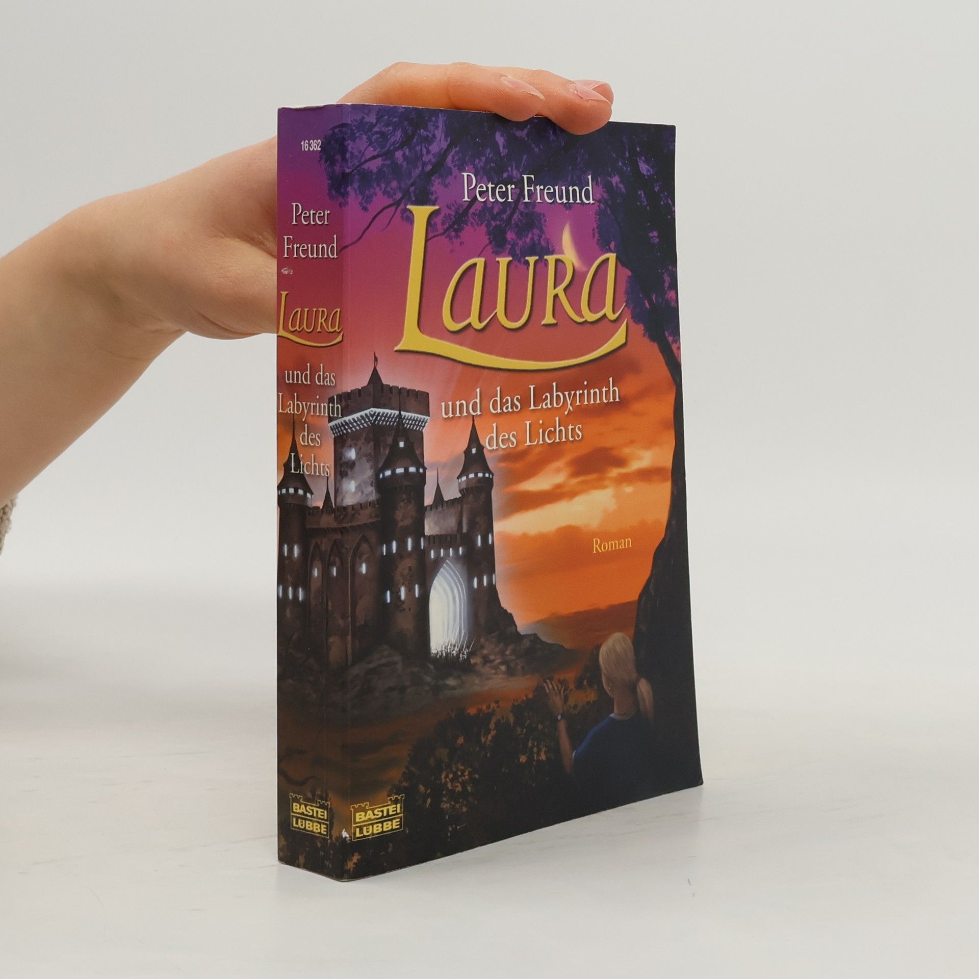 Laura und das Labyrinth des Lichts