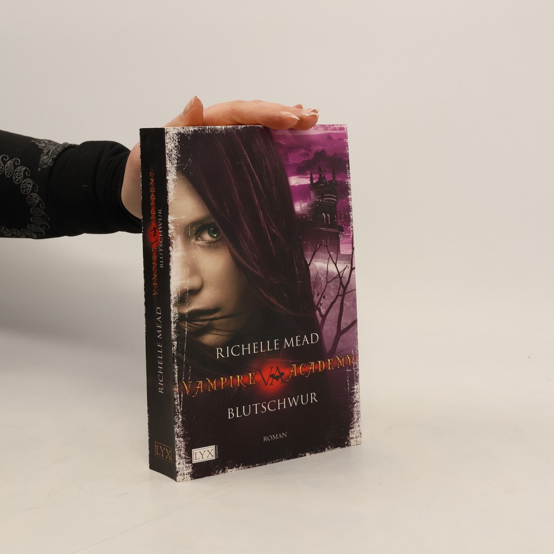 Richelle Mead Vampire Academy. Blutschwur