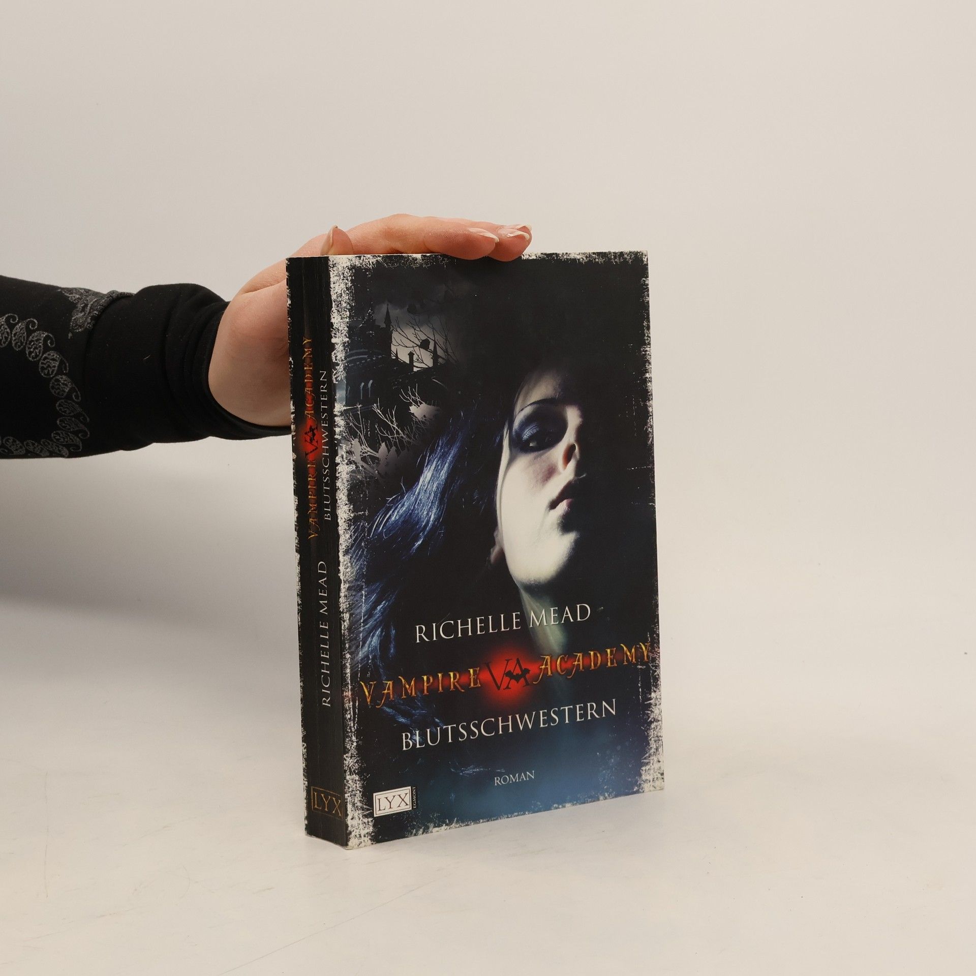 Richelle Mead Vampire Academy