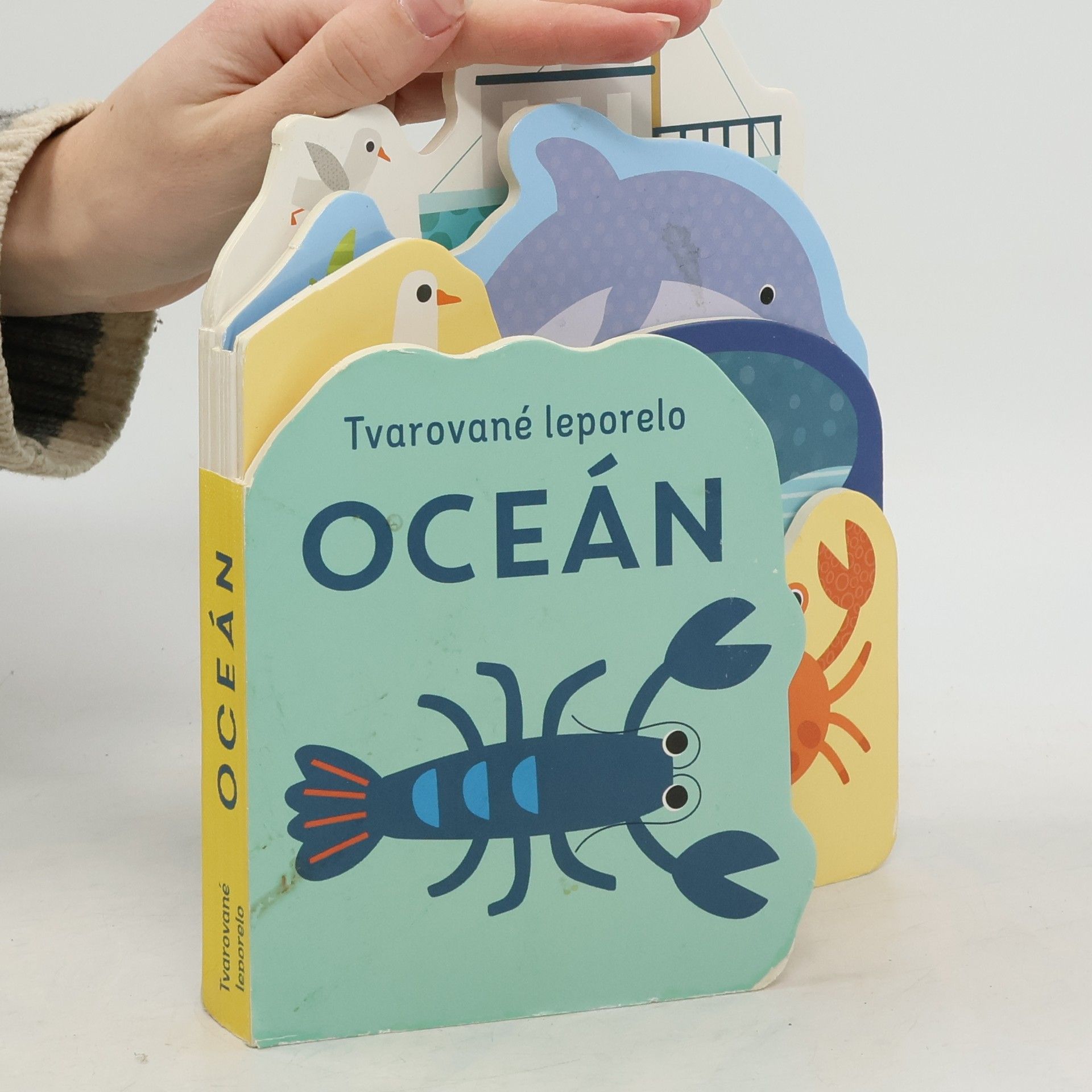 Autorenkollektiv Tvarované leporelo. Oceán