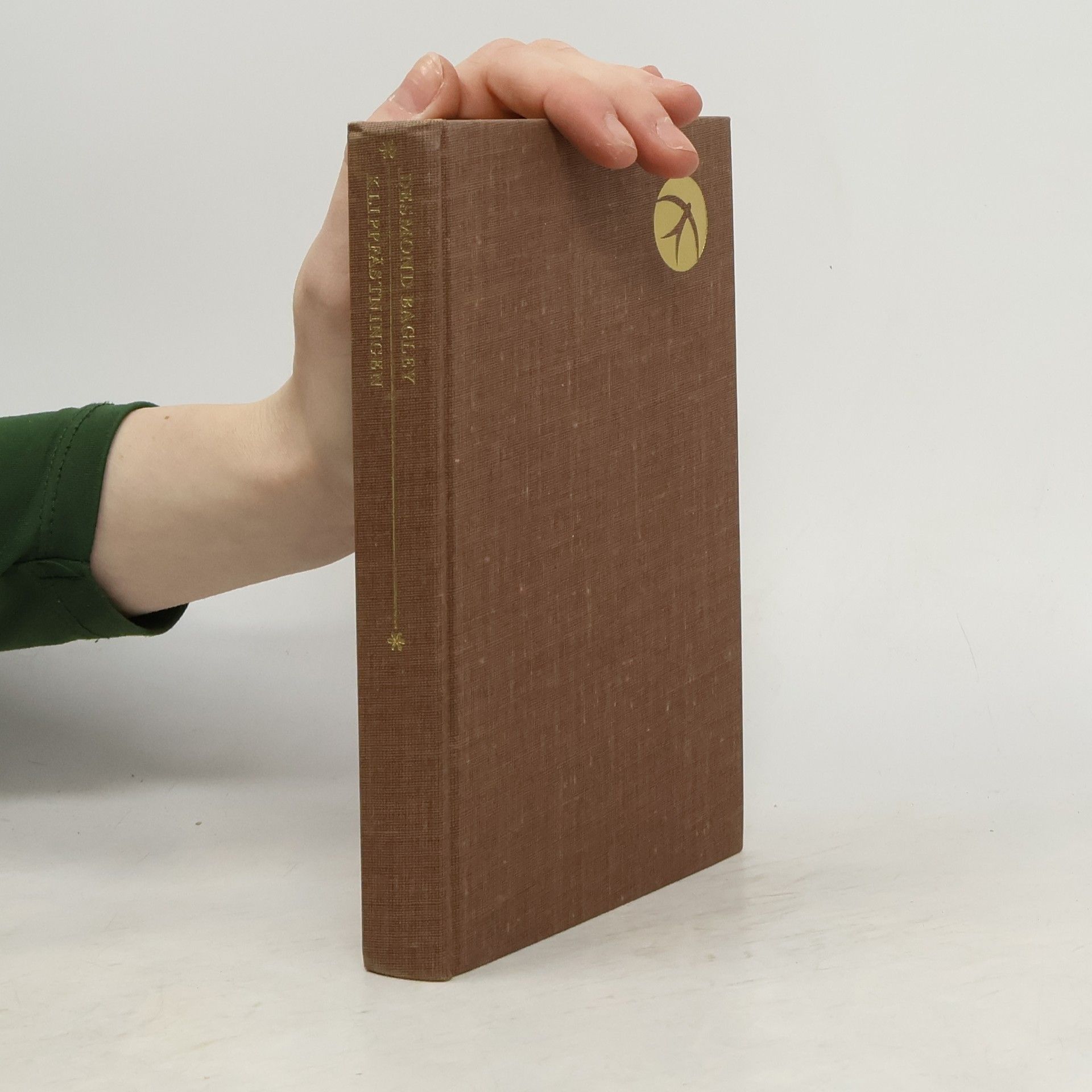 Desmond Bagley Klippfästningen