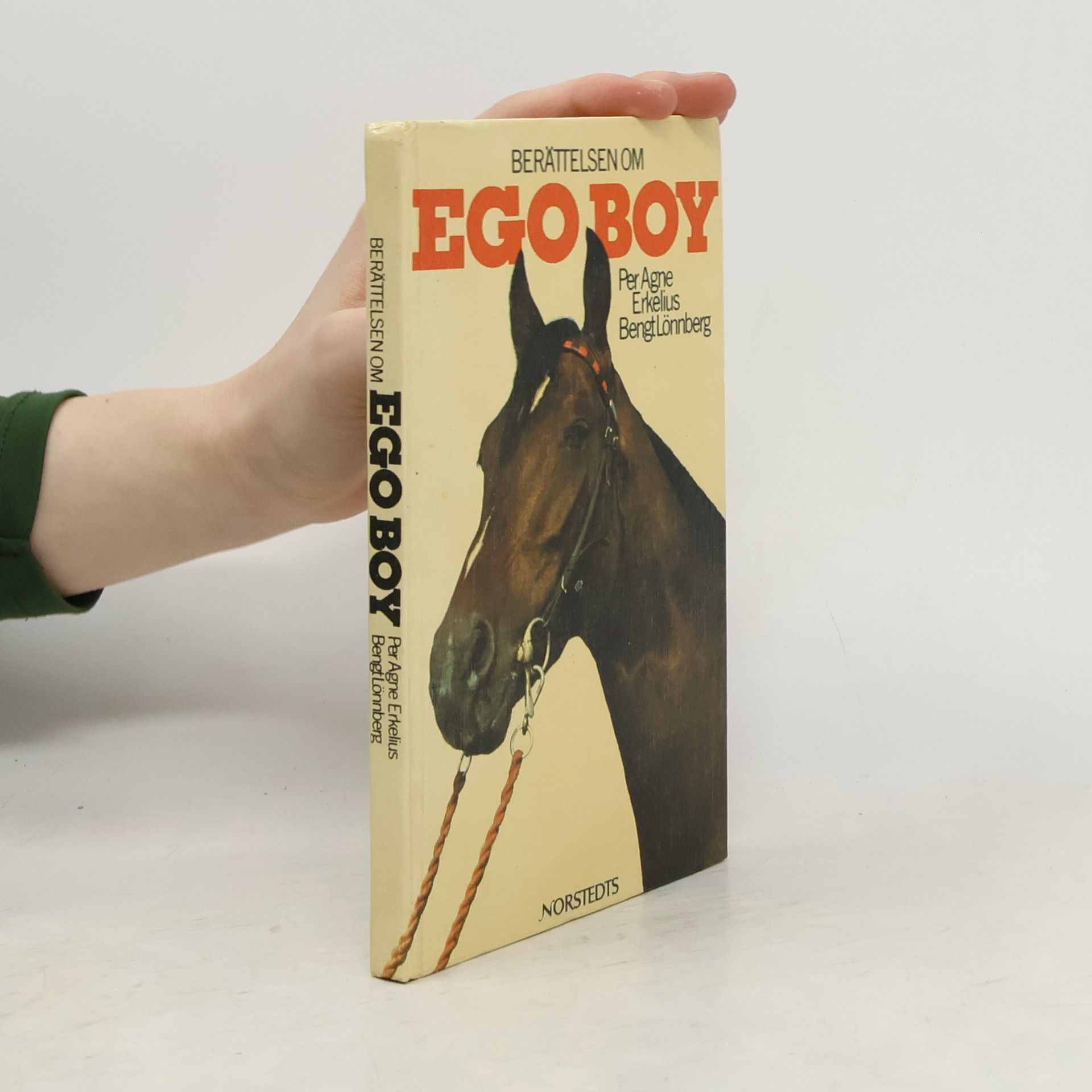 Berättelsen om Ego Boy