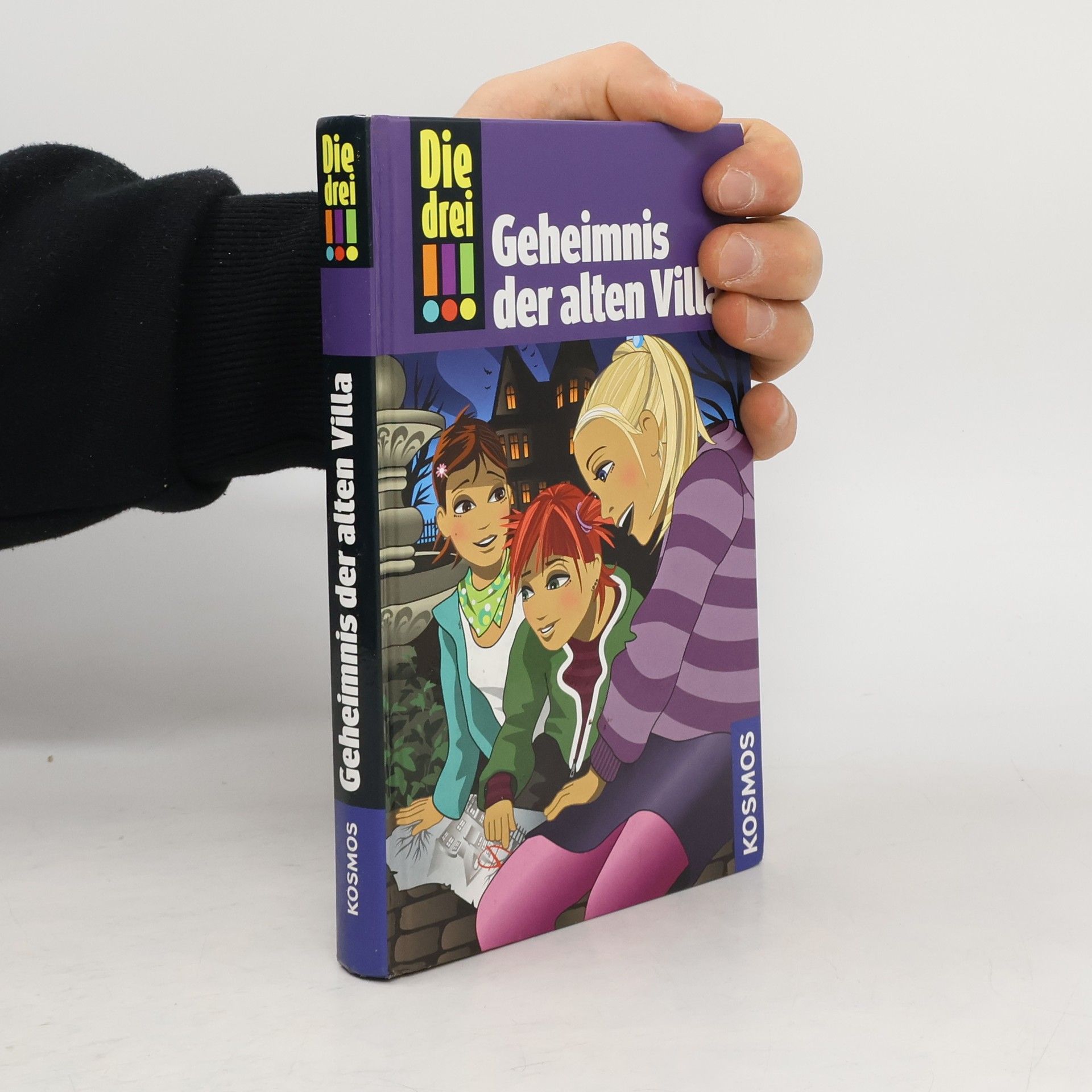 Maja von Vogel Die drei. Geheimnis der alten Villa