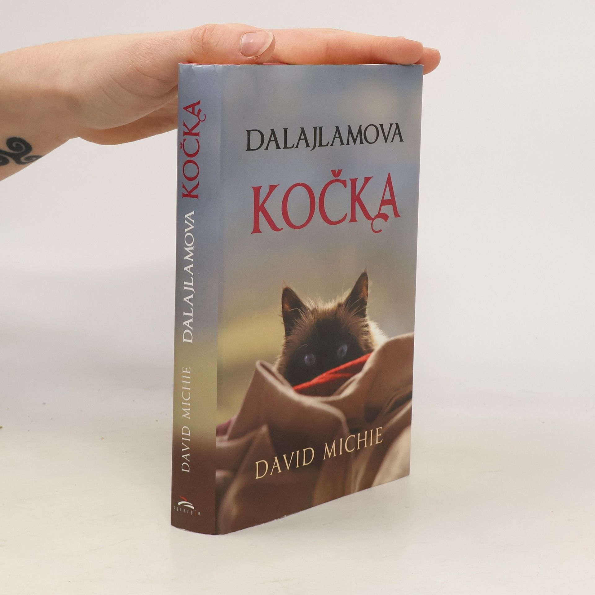 David Michie Dalajlamova kočka