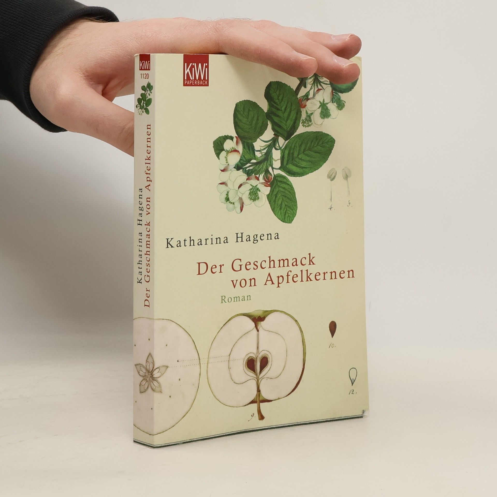 Katharina Hagena Der Geschmack von Apfelkernen