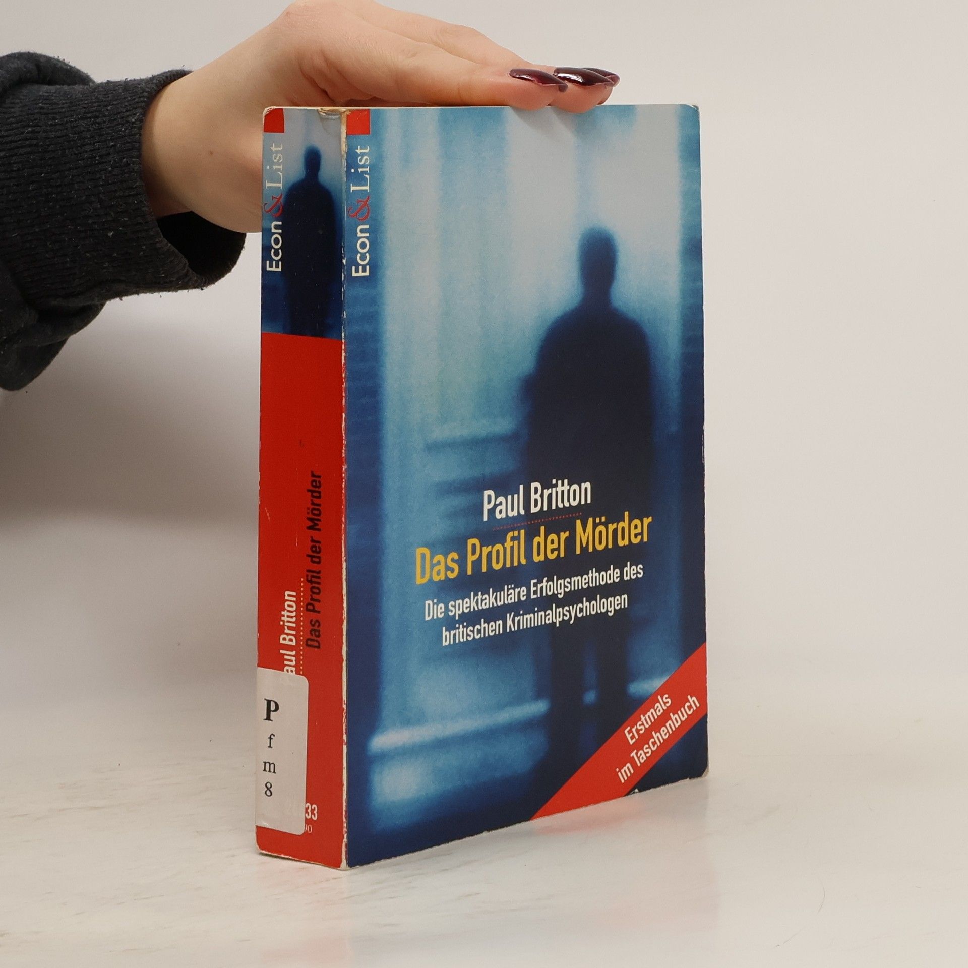 Paul Britton Das Profil der Mörder