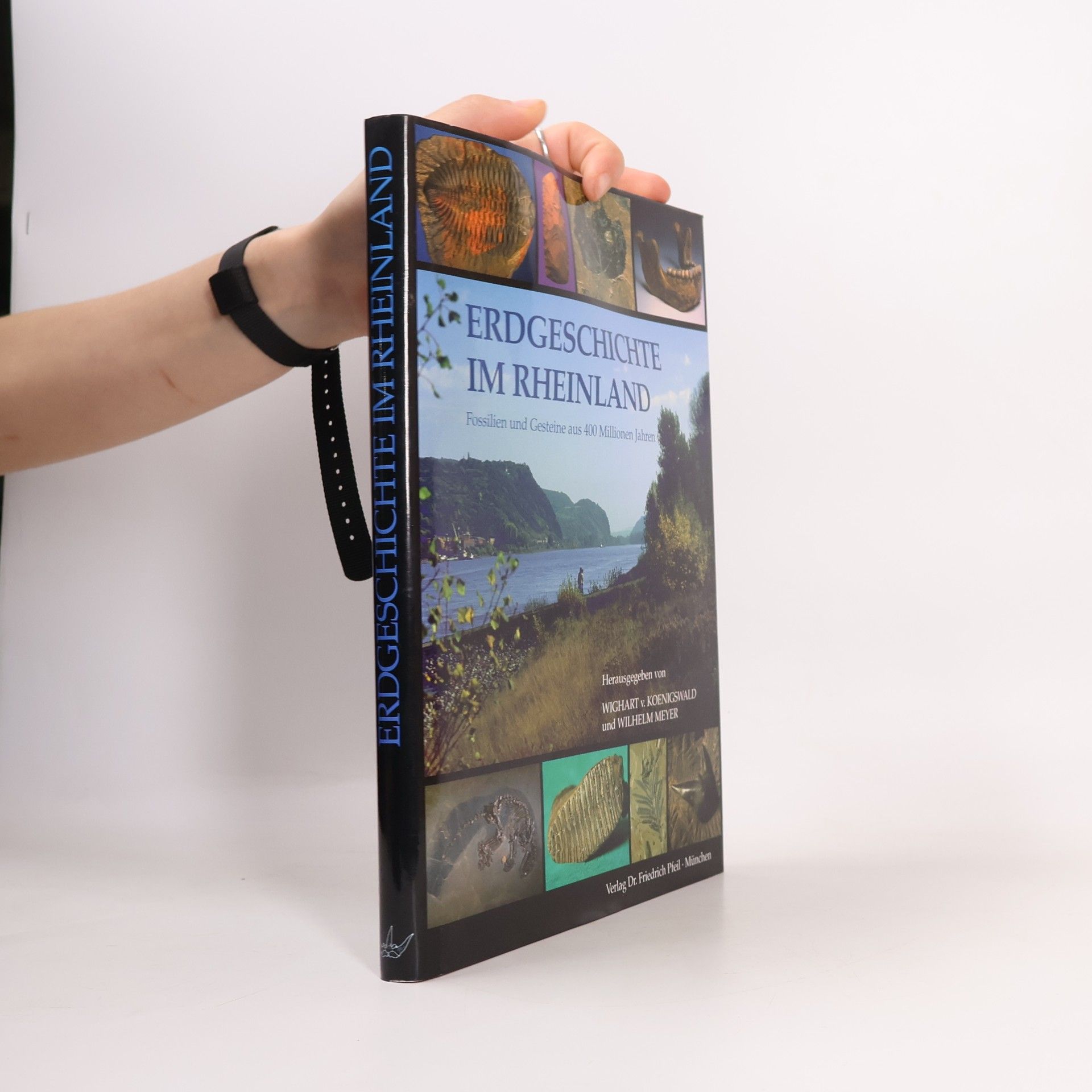 Erdgeschichte im Rheinland