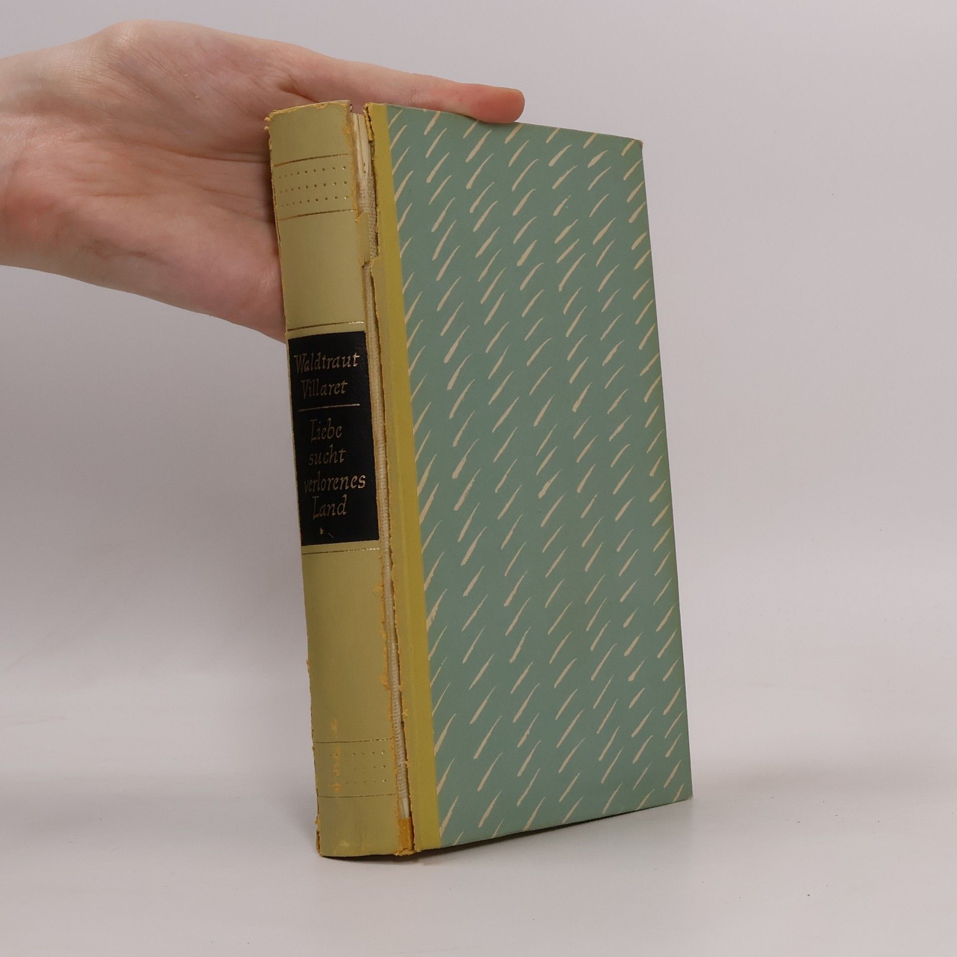 Liebe sucht verlorenes Land