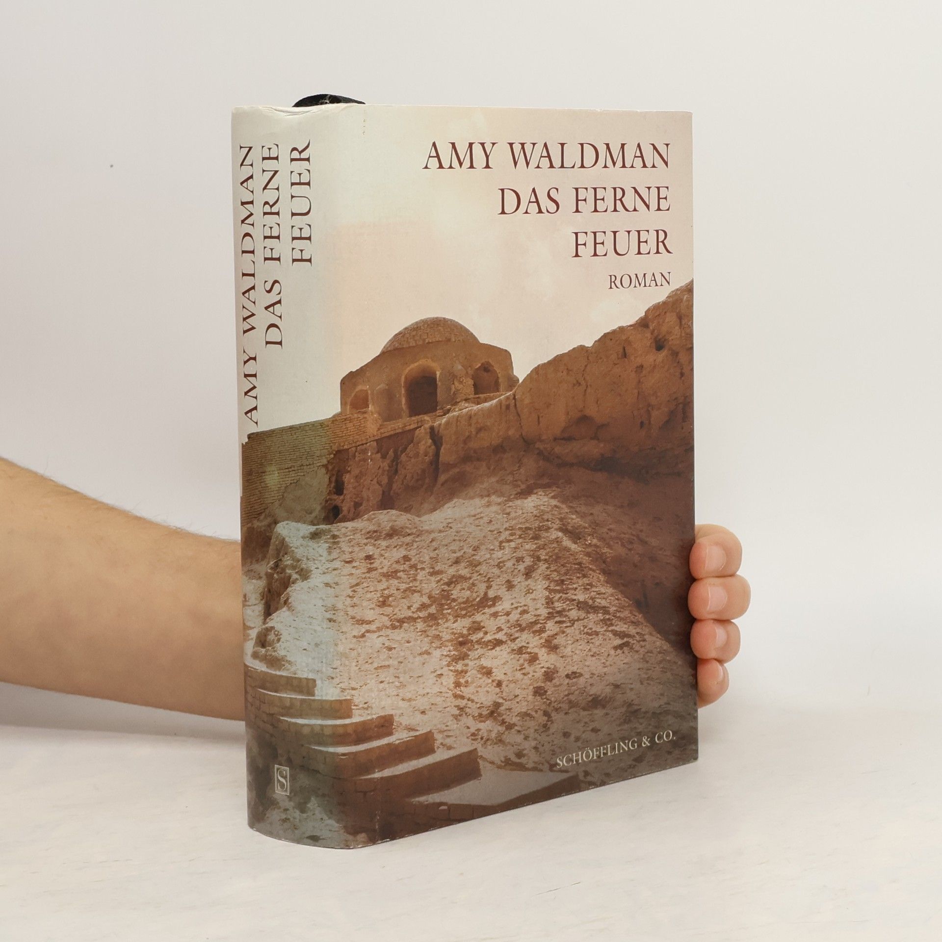 Amy Waldman Das ferne Feuer