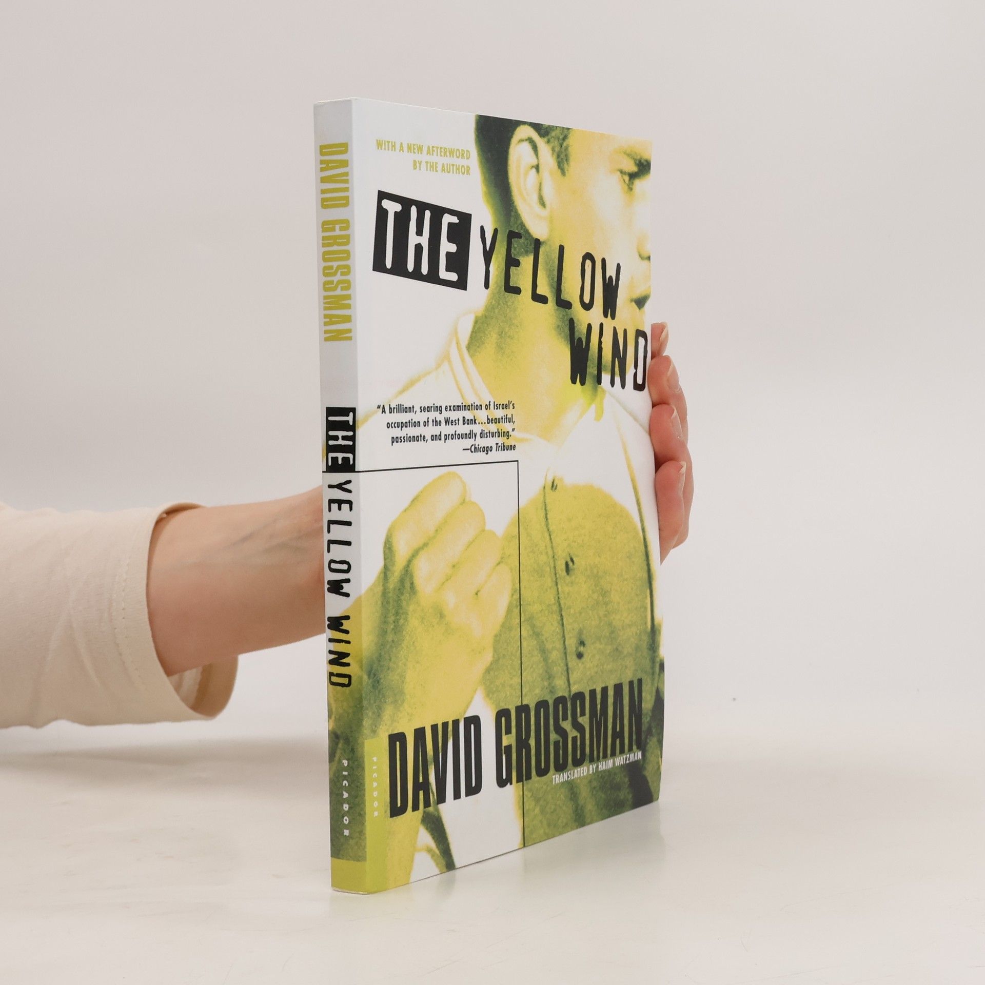 David Grossman The Yellow Wind