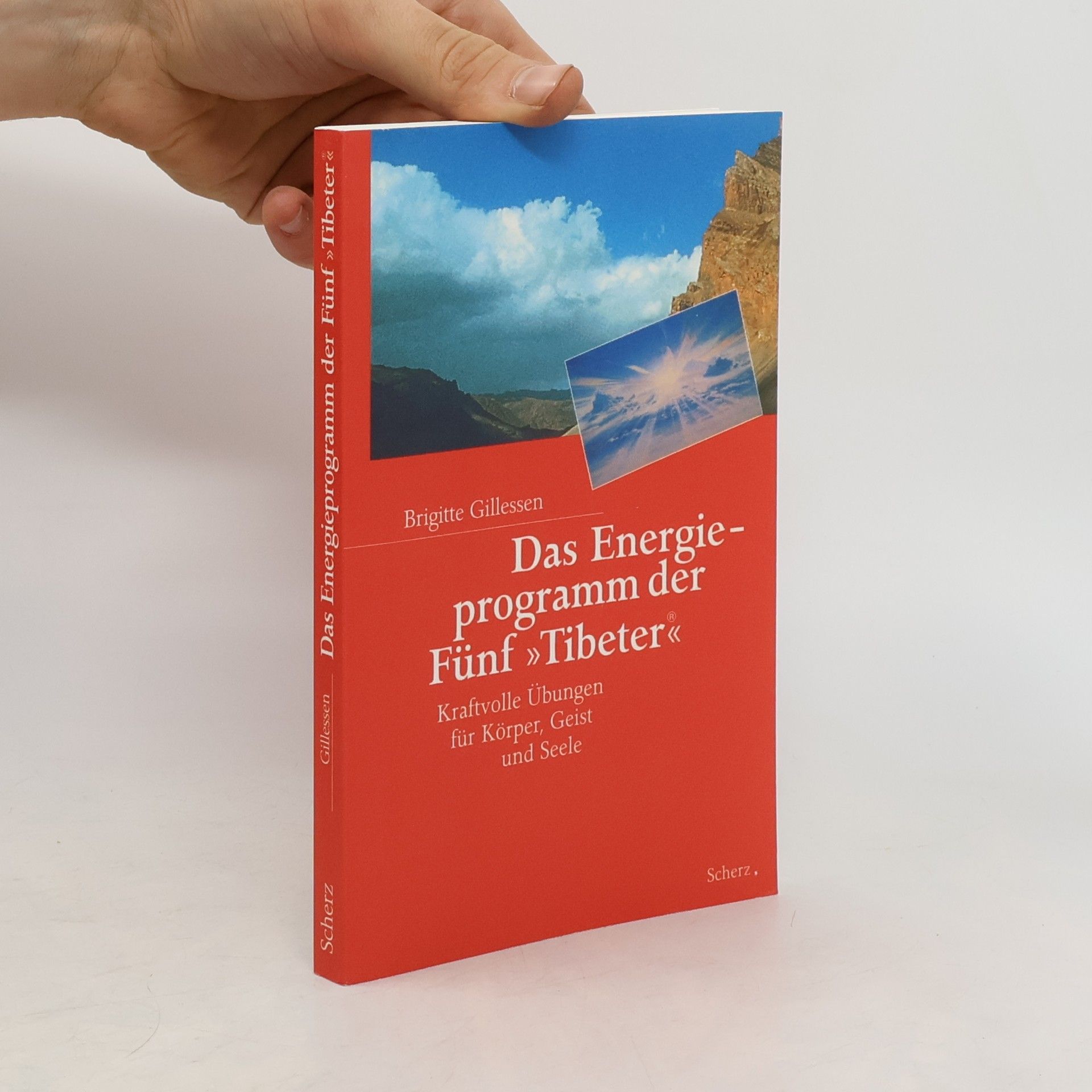 Brigitte Gillessen Das Energieprogramm der fünf "Tibeter"