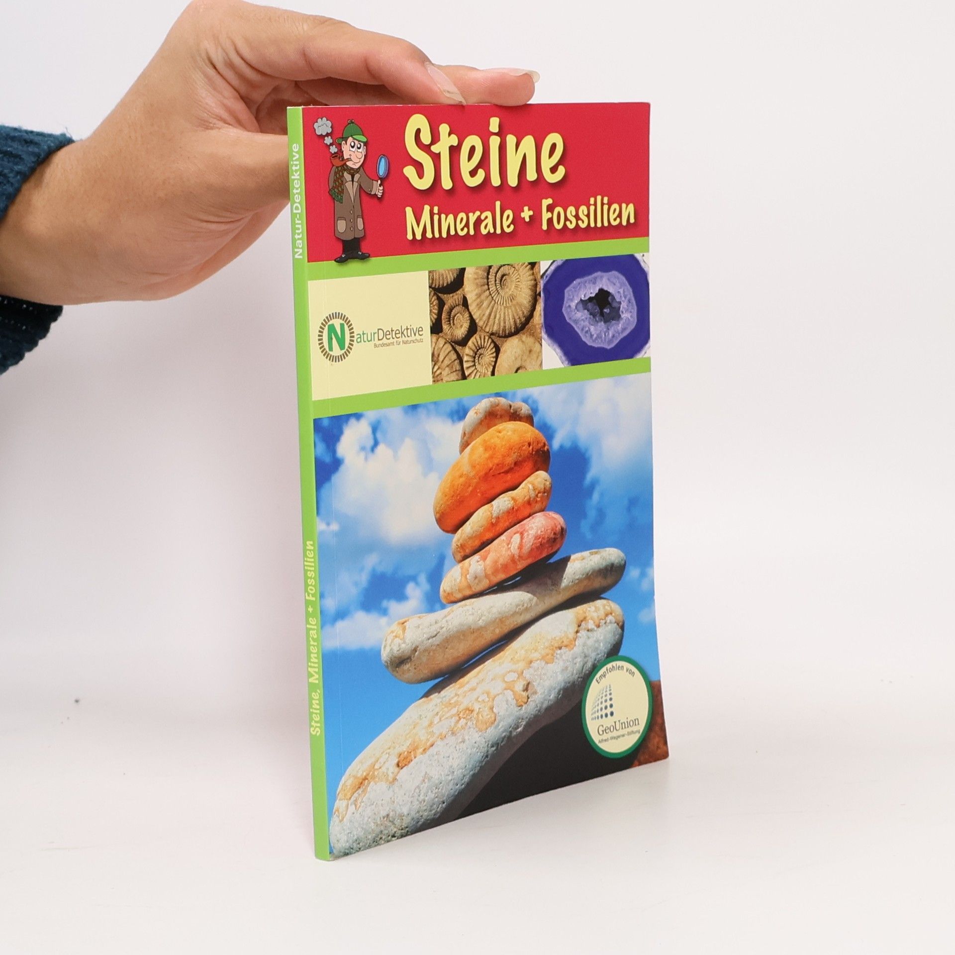 NaturDetektive Steine Minerale + Fossilien