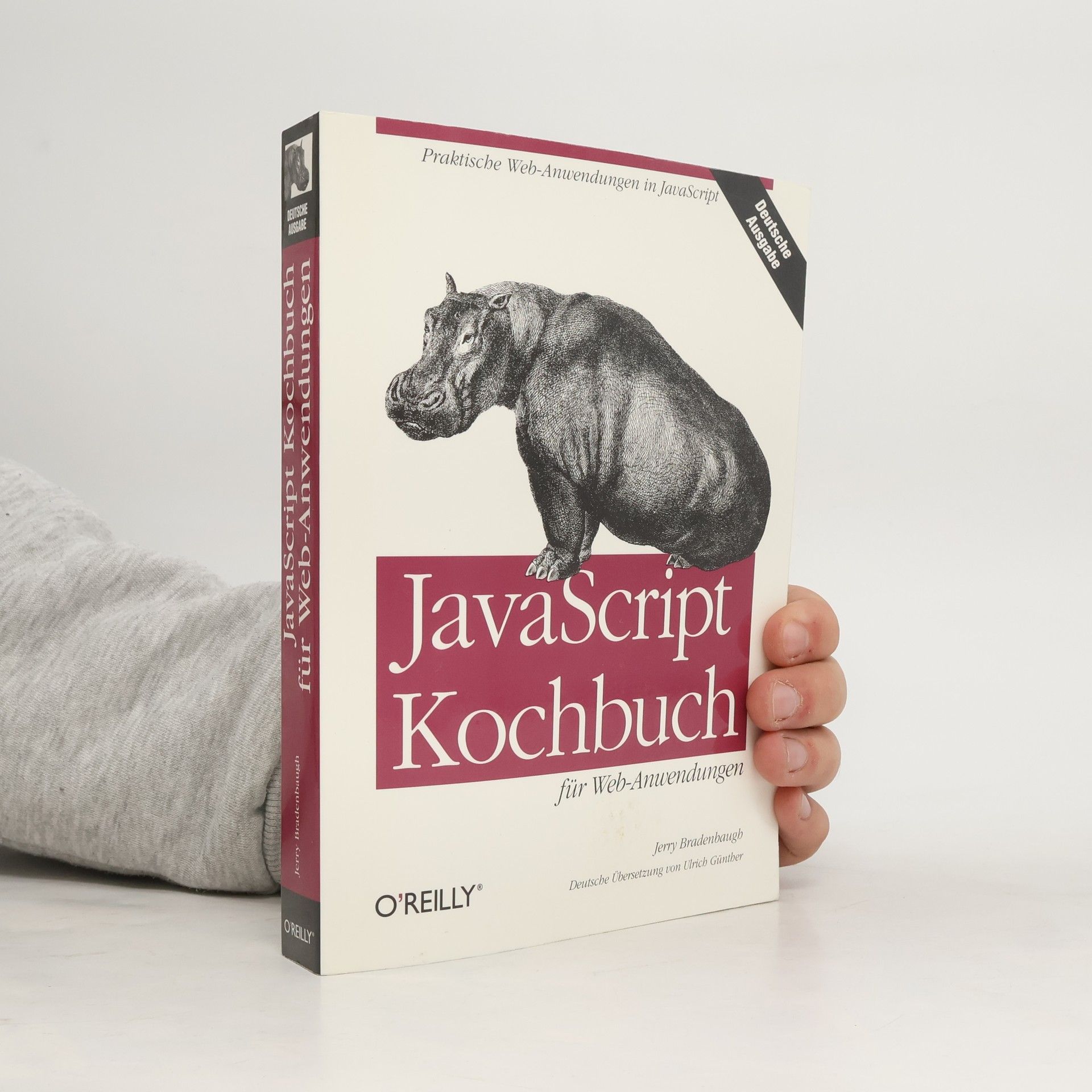 JavaScript-Kochbuch für Web-Anwendungen