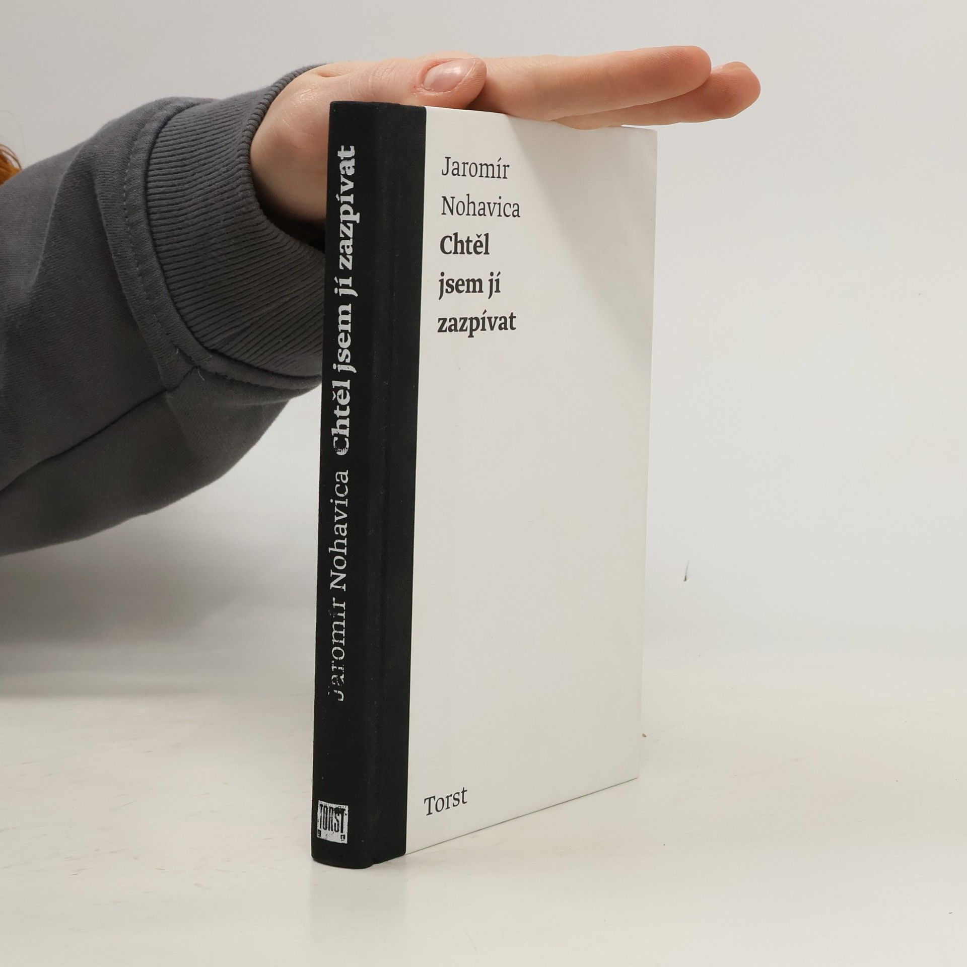 Chtěl jsem jí zazpívat: Výbor z písňových textů