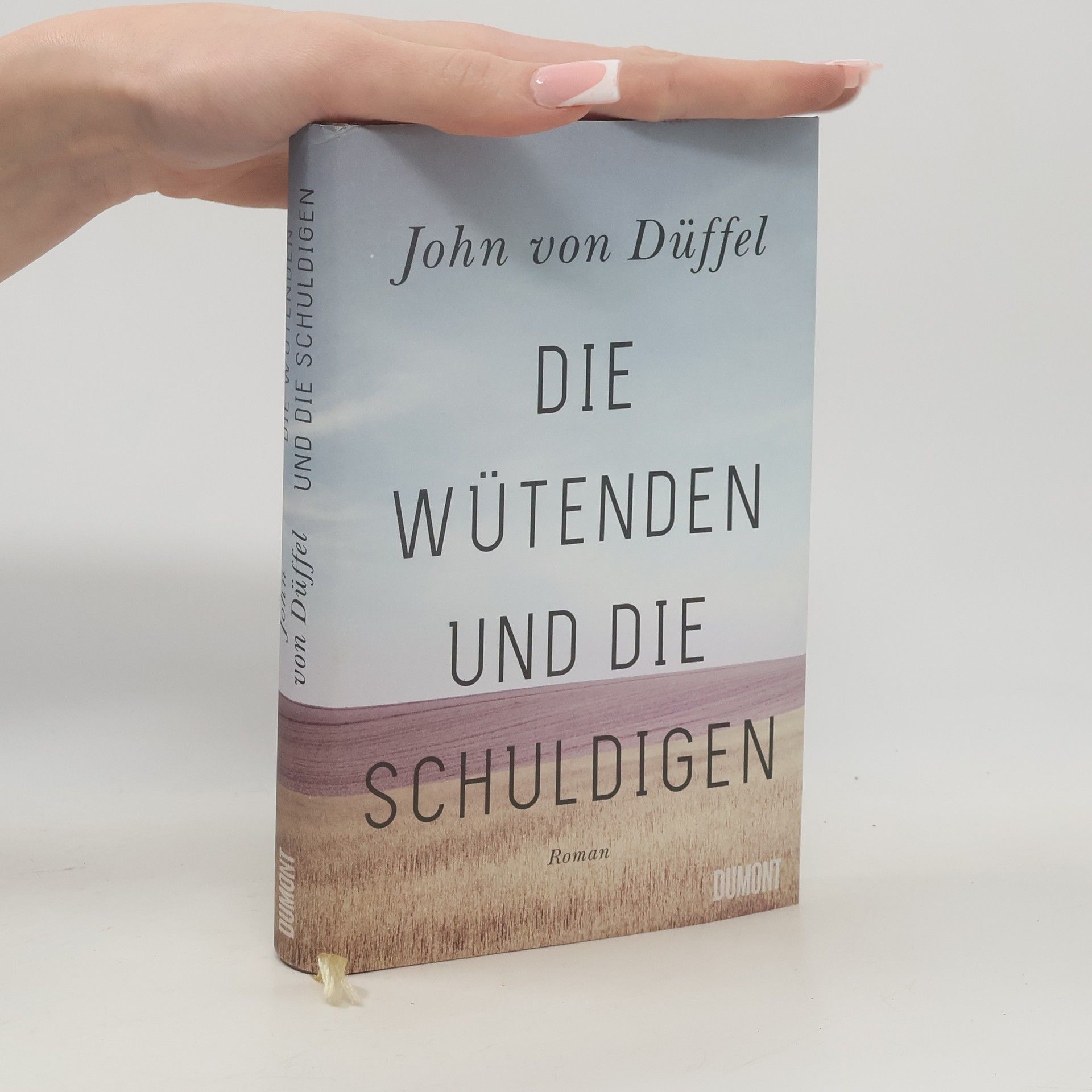 Die Wütenden und die Schuldigen : Roman