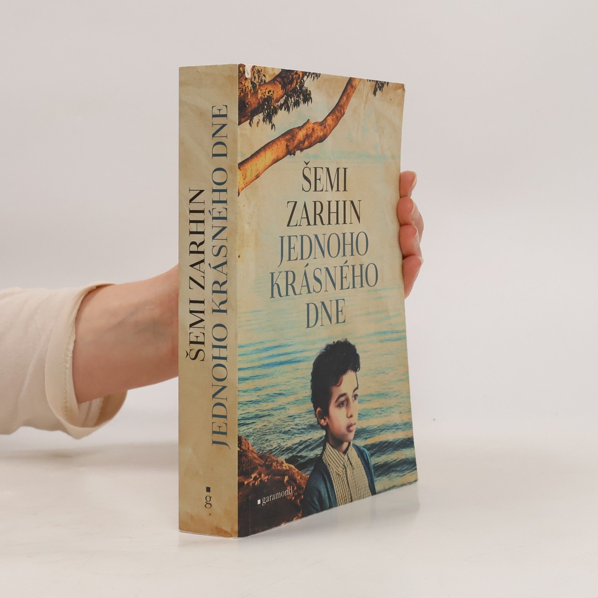 Šimi Zarchin Jednoho krásného dne