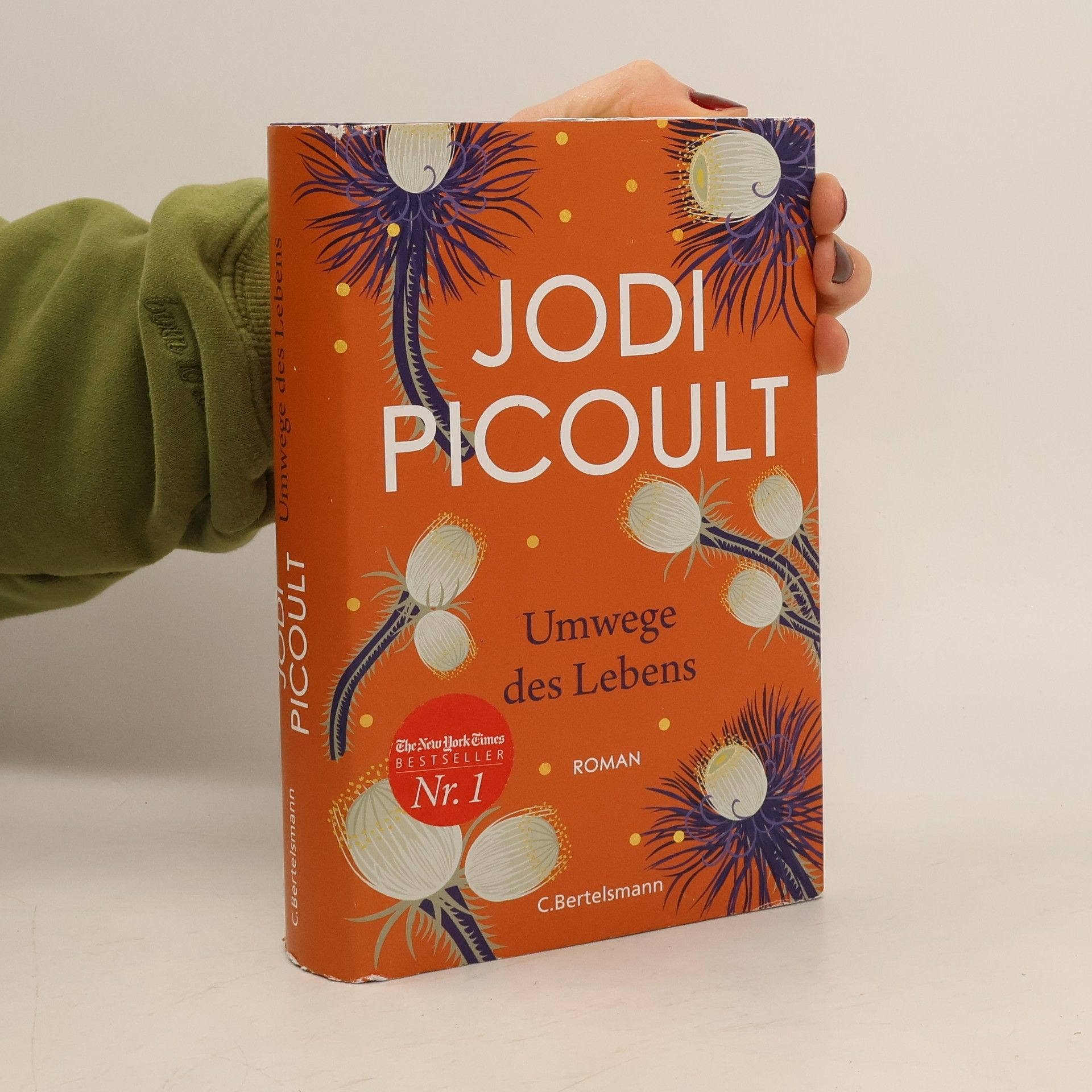 Jodi Picoult Umwege des Lebens