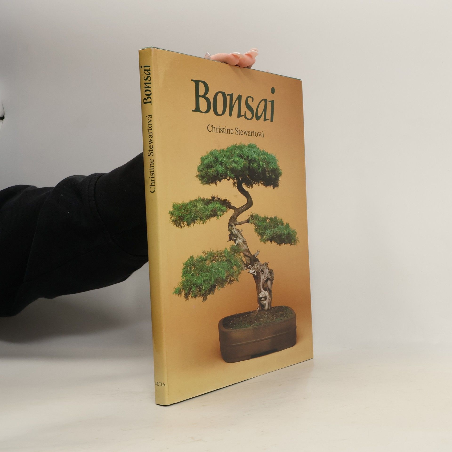 Christine Stewart Bonsai