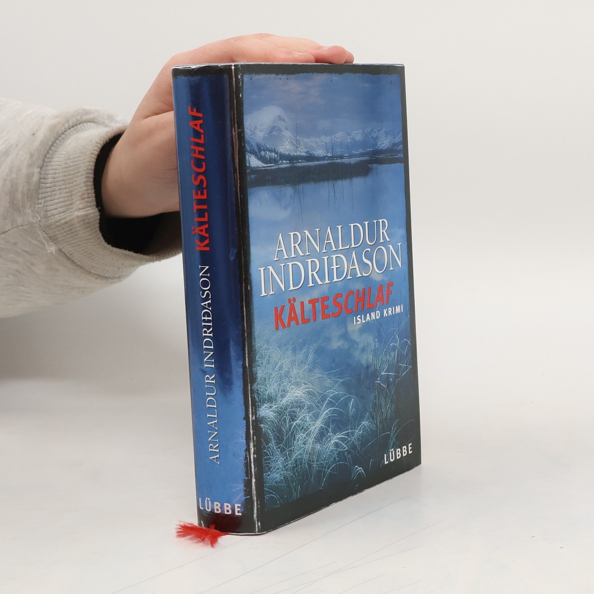 Arnaldur Indridason Kälteschlaf
