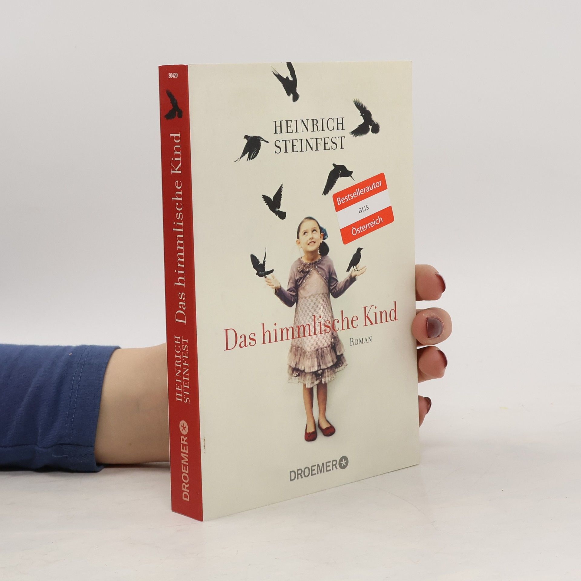 Heinrich Steinfest Das himmlische Kind