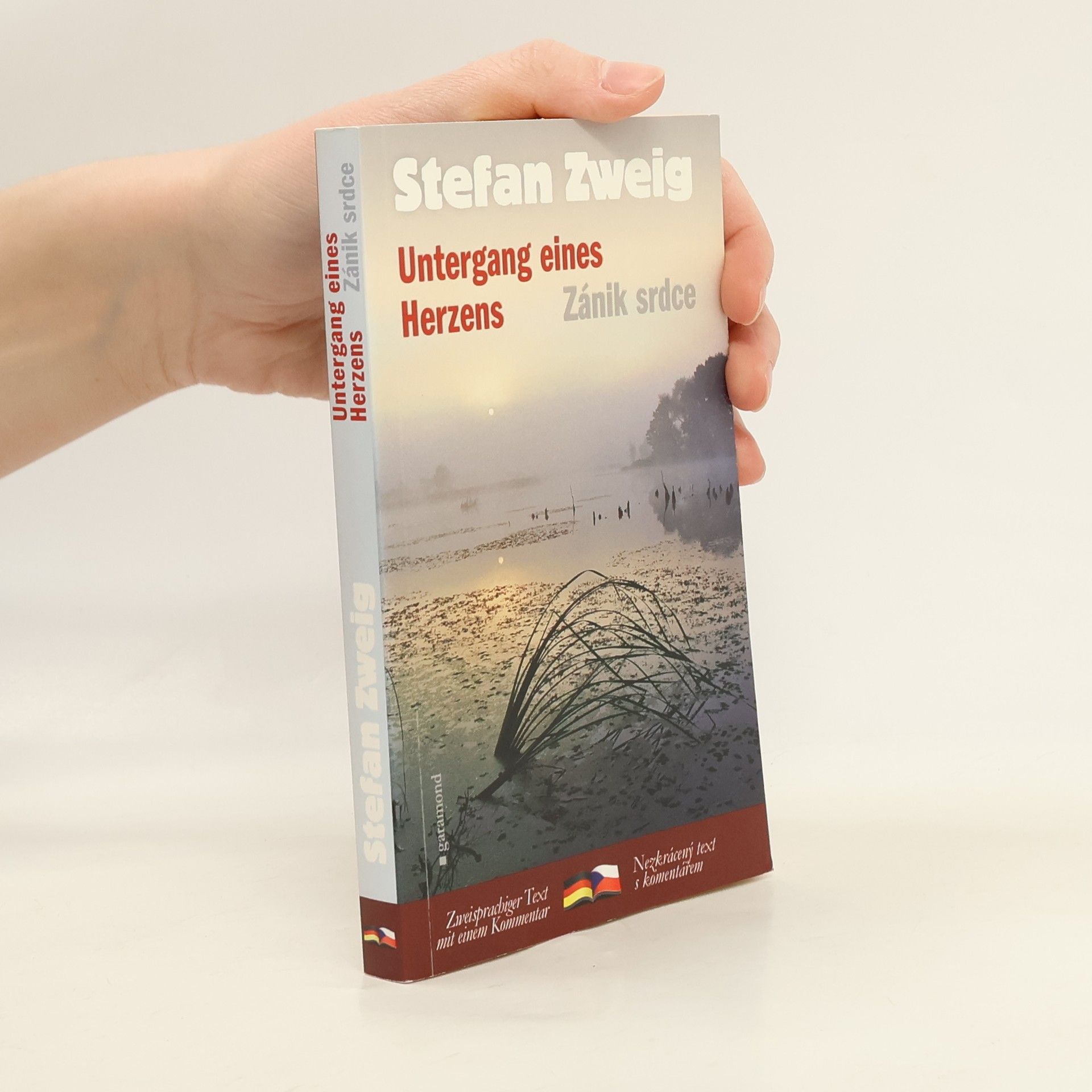 Stefan Zweig Untergang eines Herzens. Zánik srdce