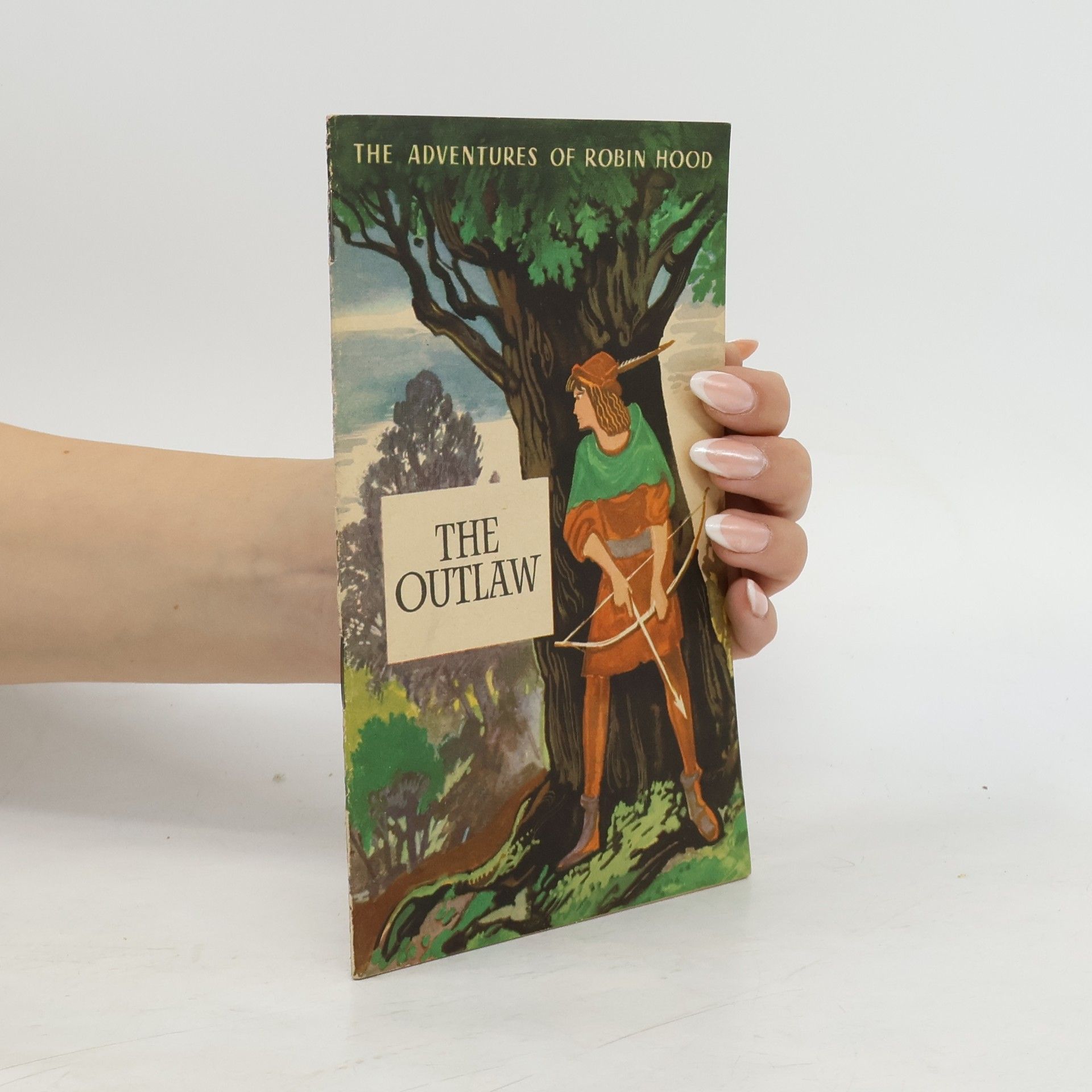 AA.VV. The Adventures of Robin Hood. The Outlaw