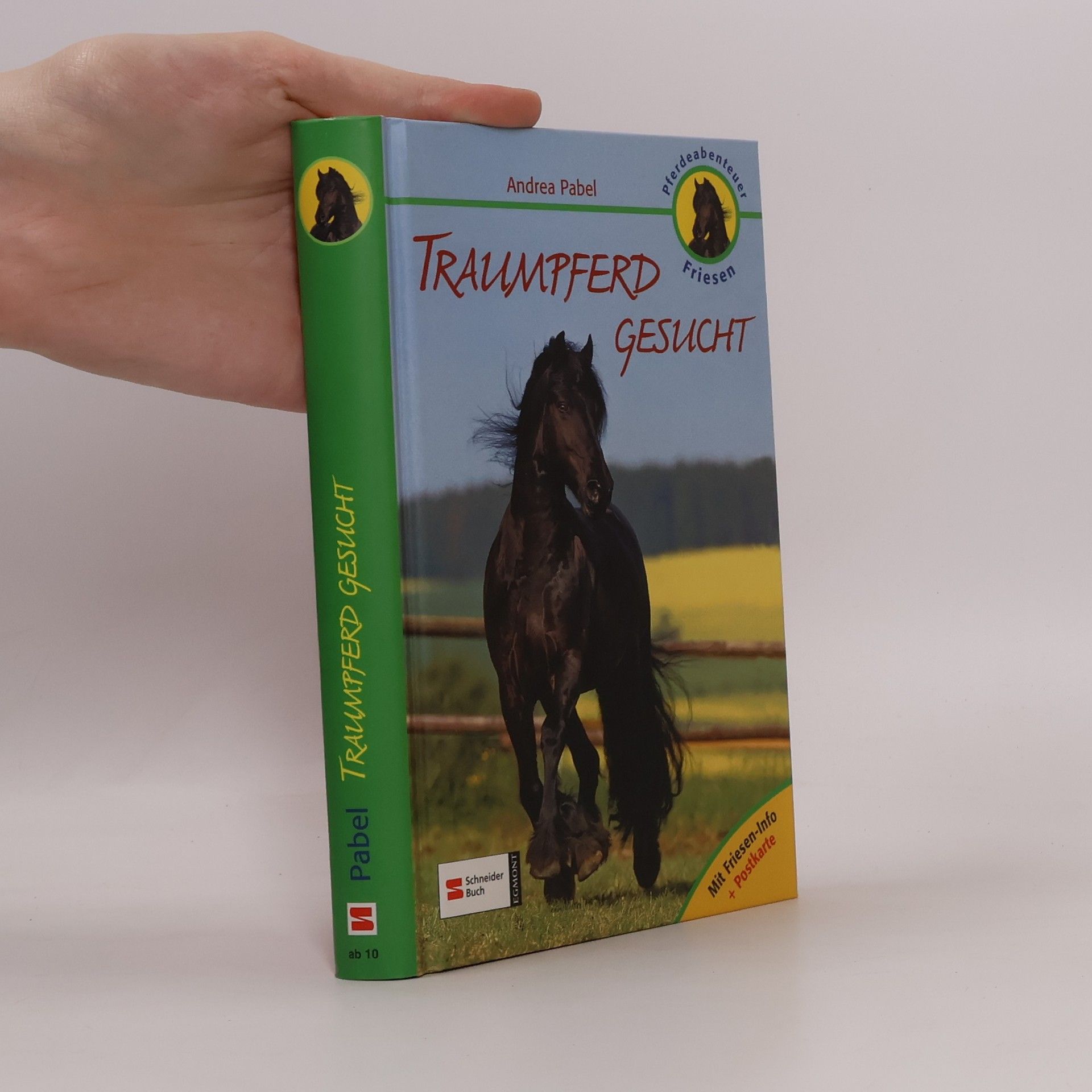 Andrea Pabel Pferdeabenteuer Friesen. Traumpferd gesucht