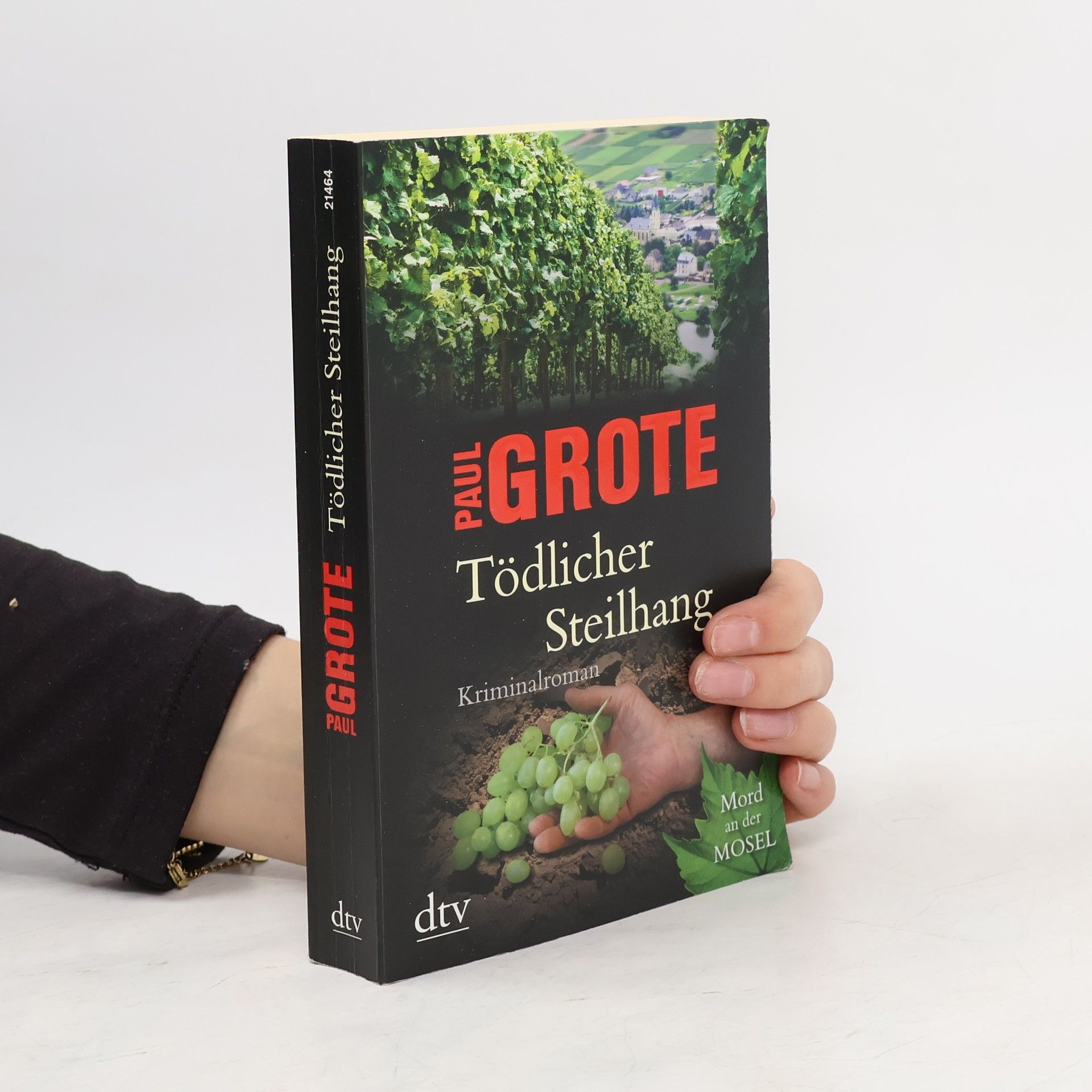 Paul Grote Tödlicher Steilhang