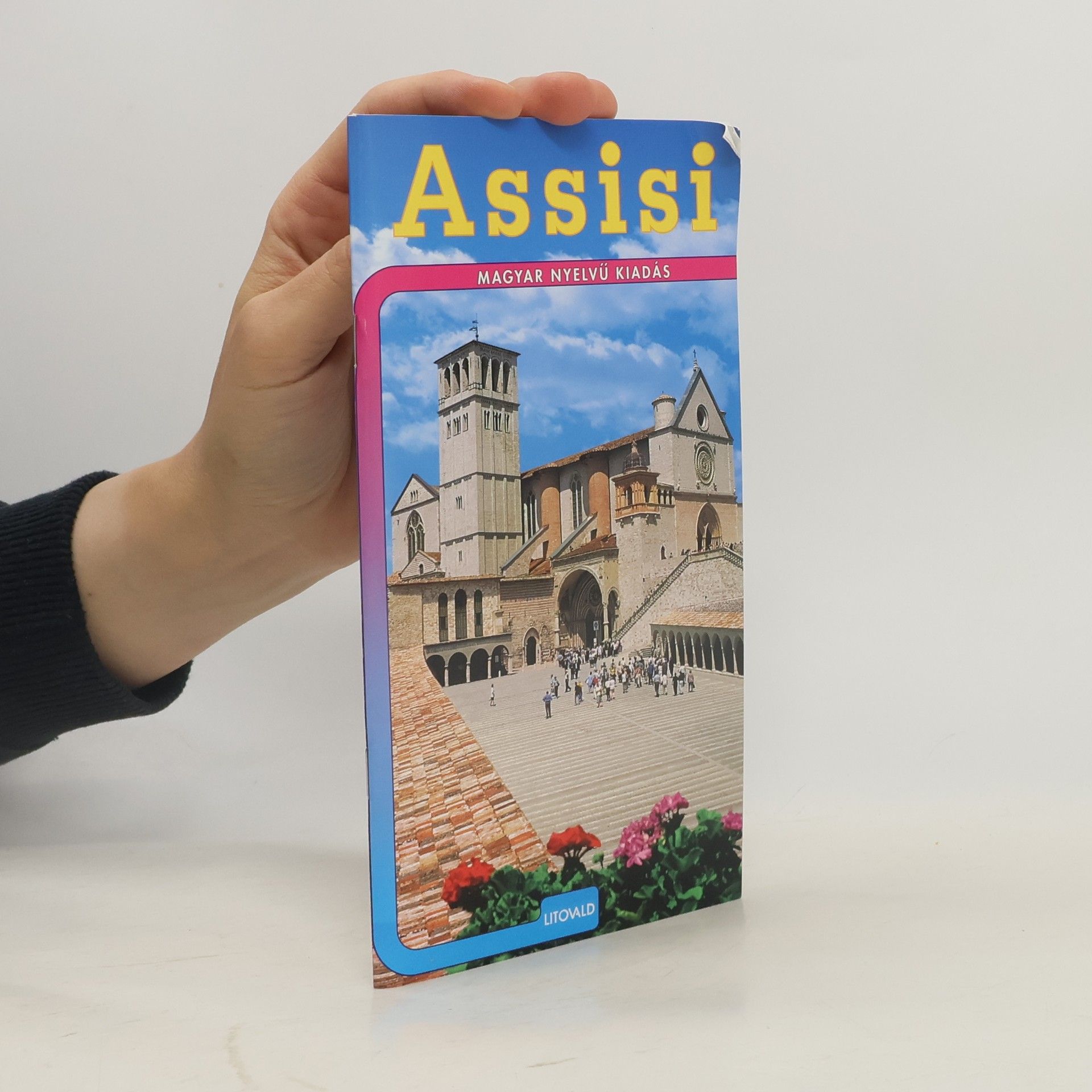 Rizia Guarnieri Assisi