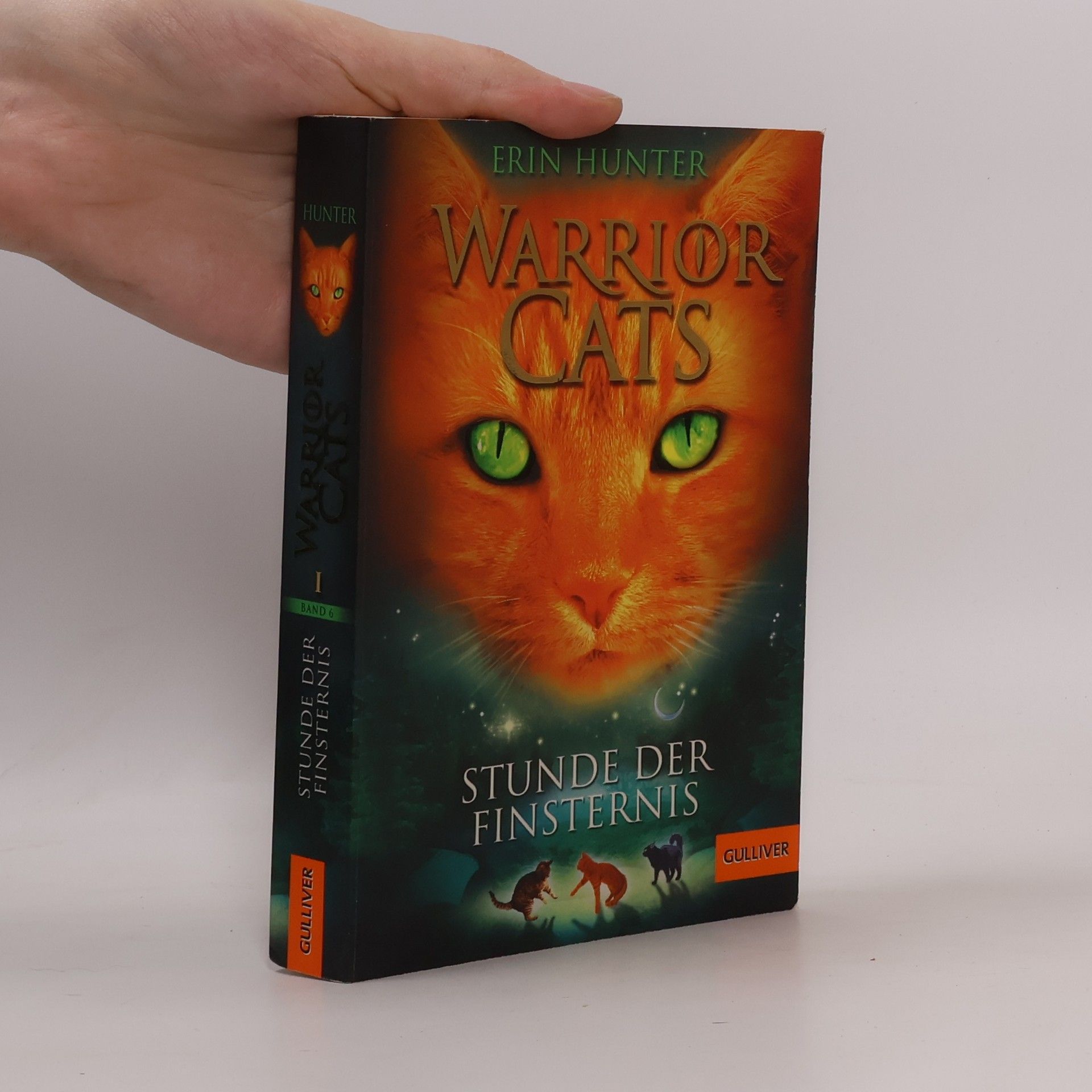 Stunde der Finsternis