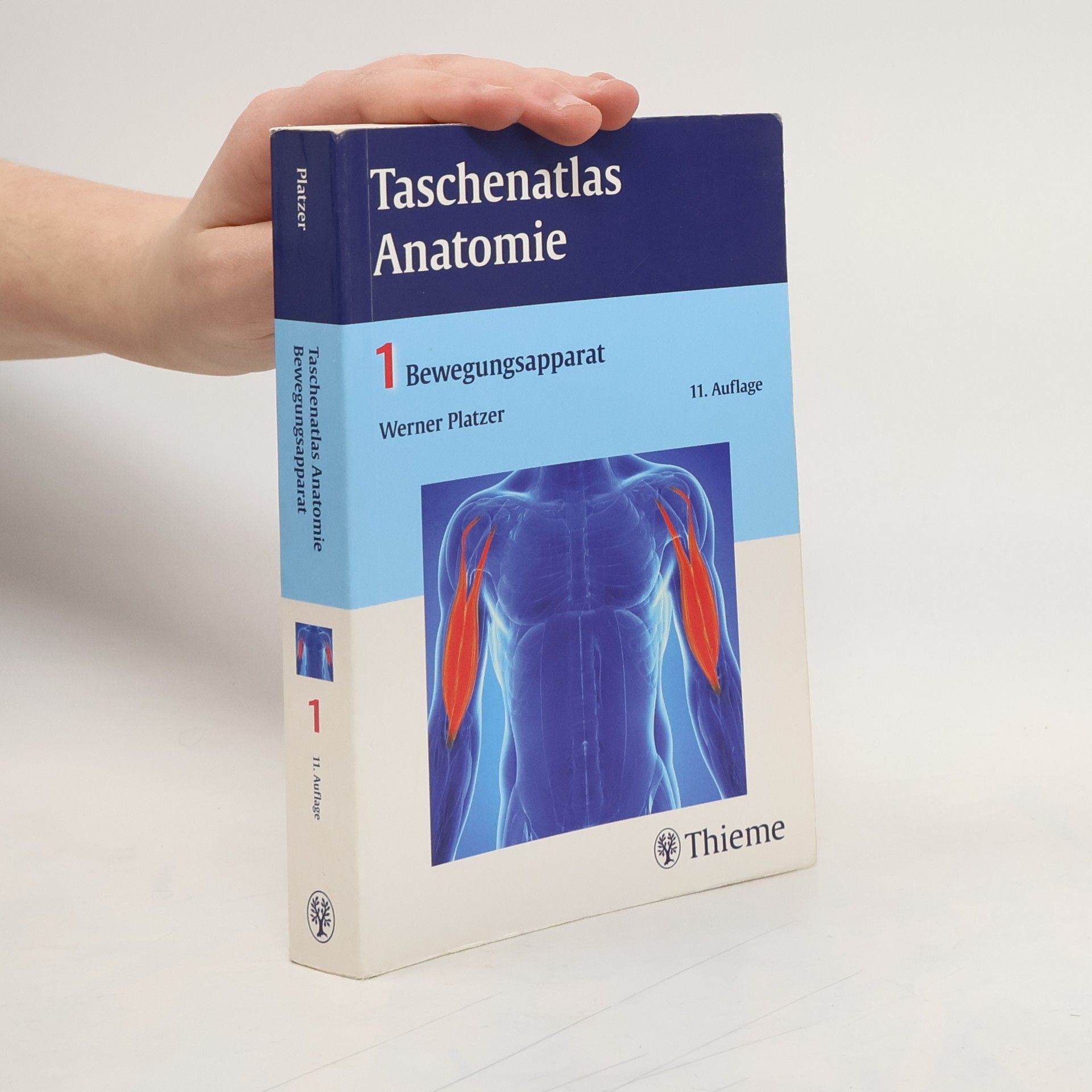 Werner Platzer Platzer Taschenatlas Anatomie