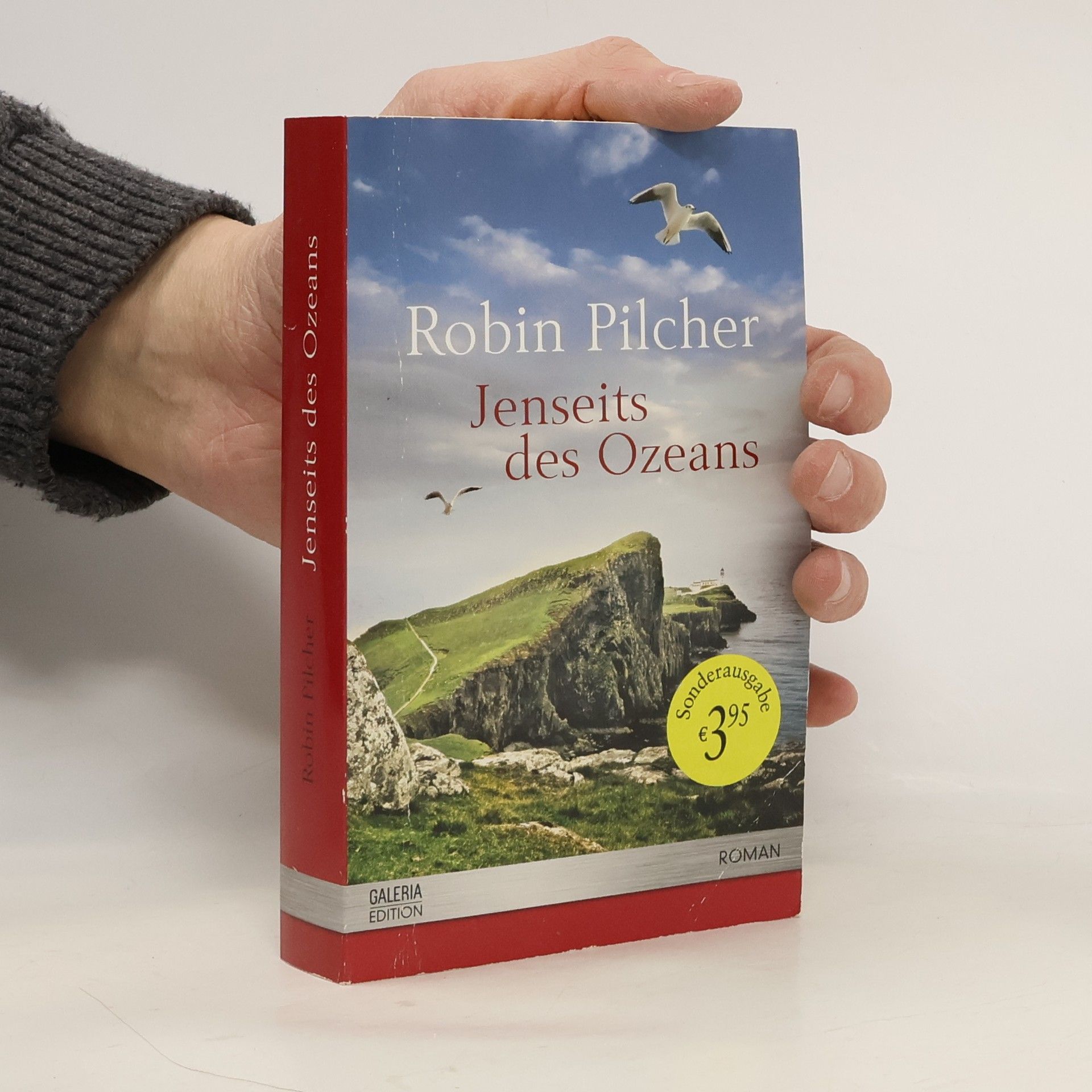 Robin Pilcher Jenseits des Ozeans