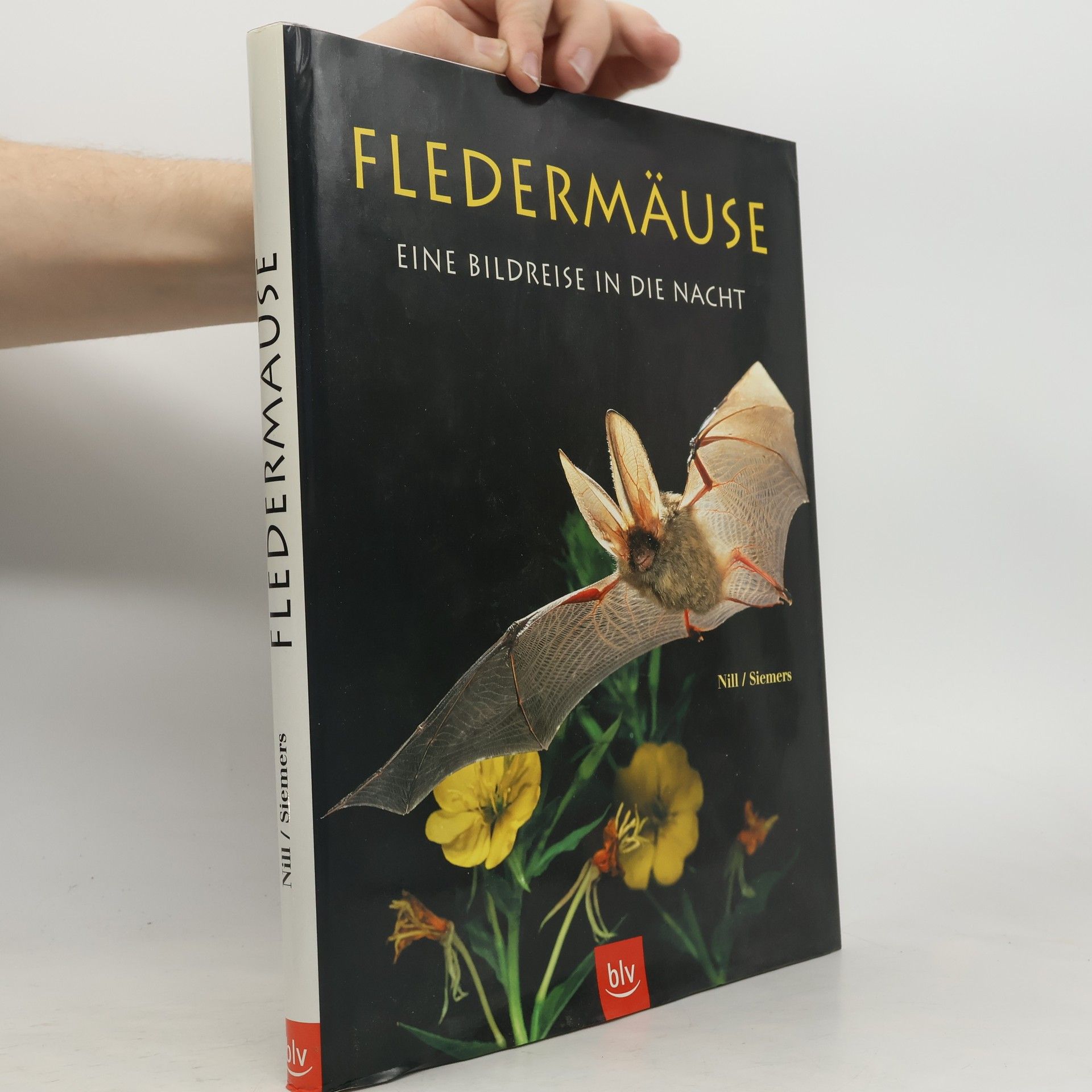 Dietmar Nill Fledermäuse