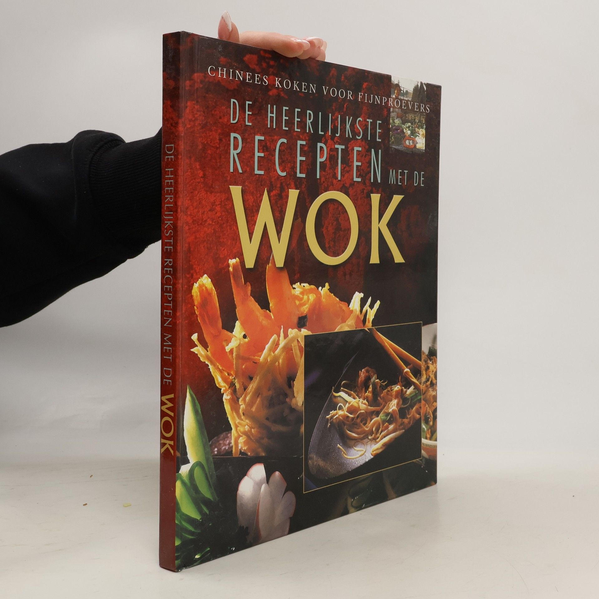 Kolektív autorov De heerlijkste recepten met de wok