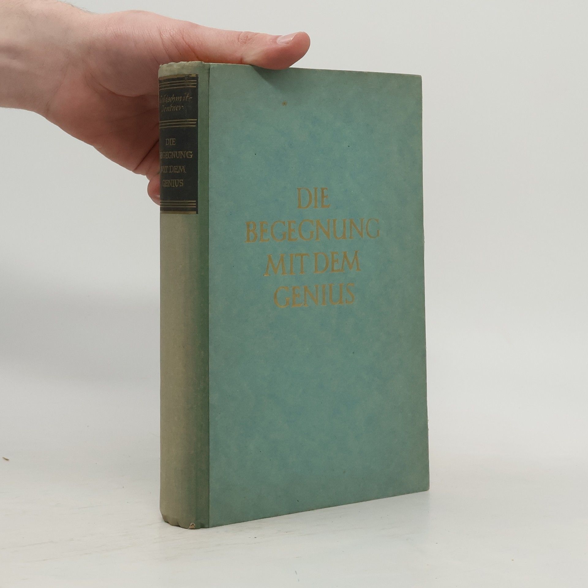 Die Begegnung mit dem Genius 