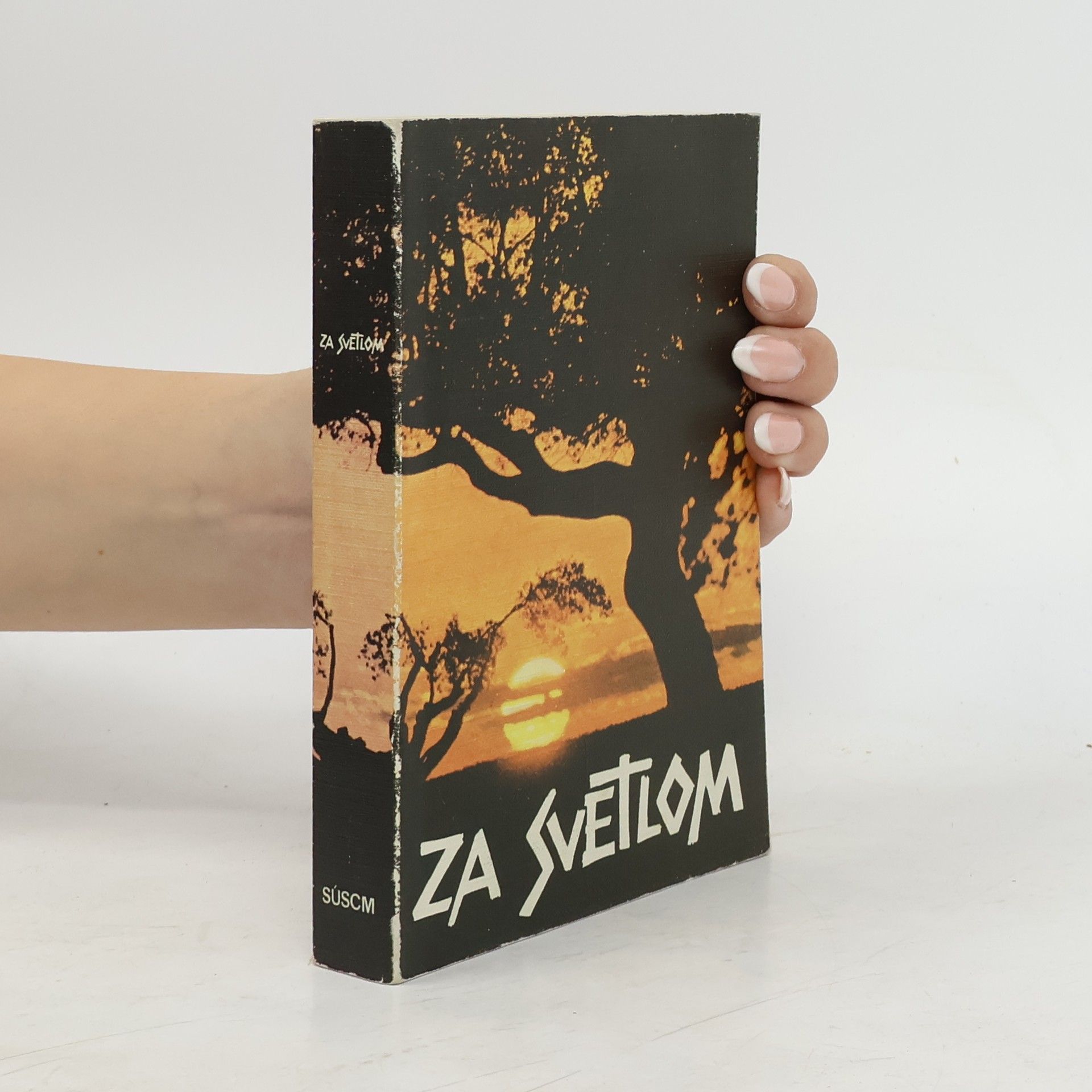 Za svetlom. Dejiny spásy v Starom zákone